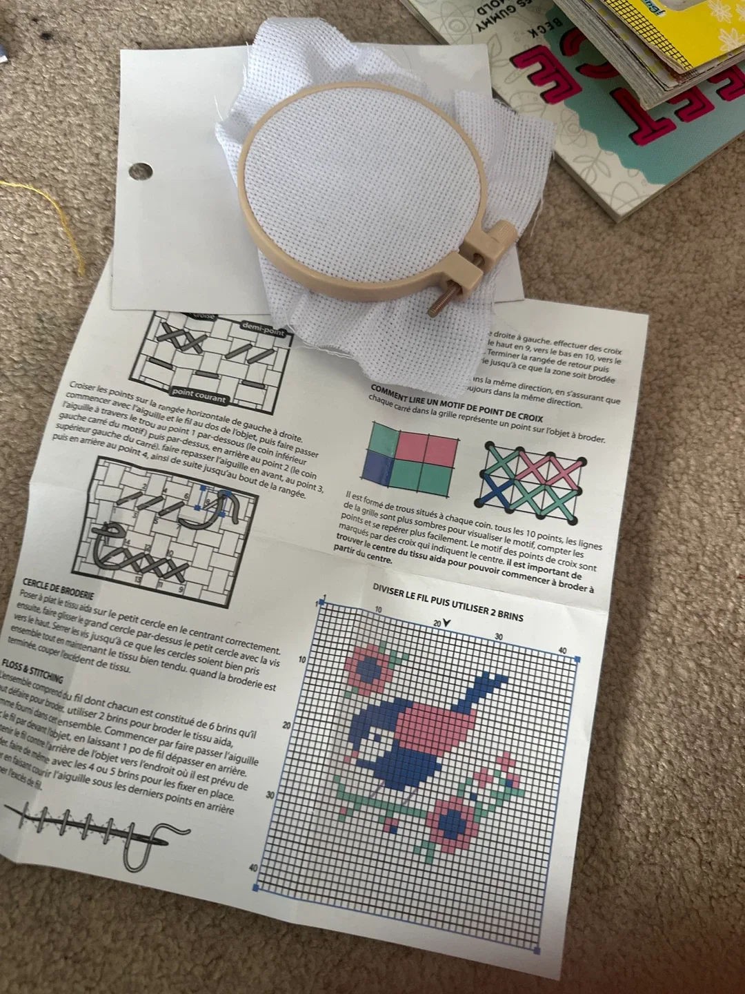 Embroidery Hoop with Aida Cloth & Pattern