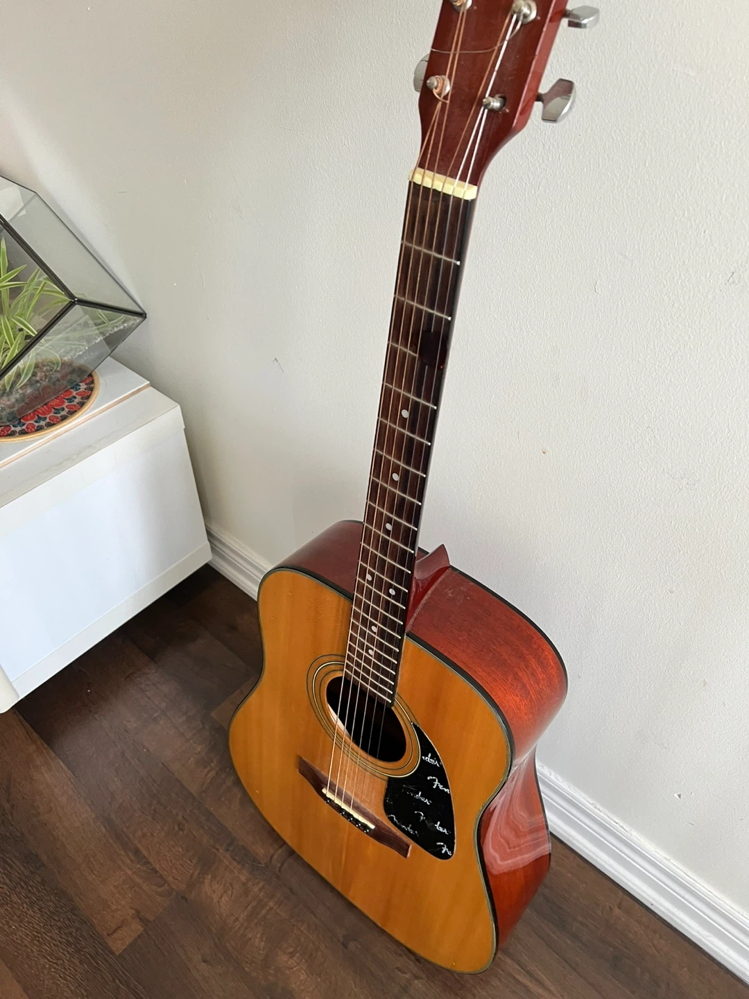 Fender DG-5 NAT Acoustic Guitar