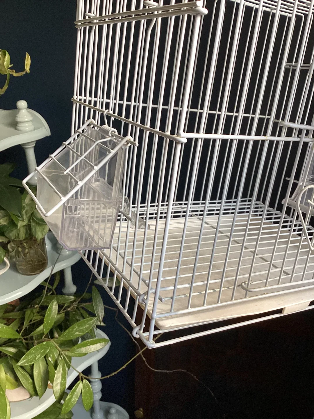Small Travel Bird Cage 🥕 image indicator(2)