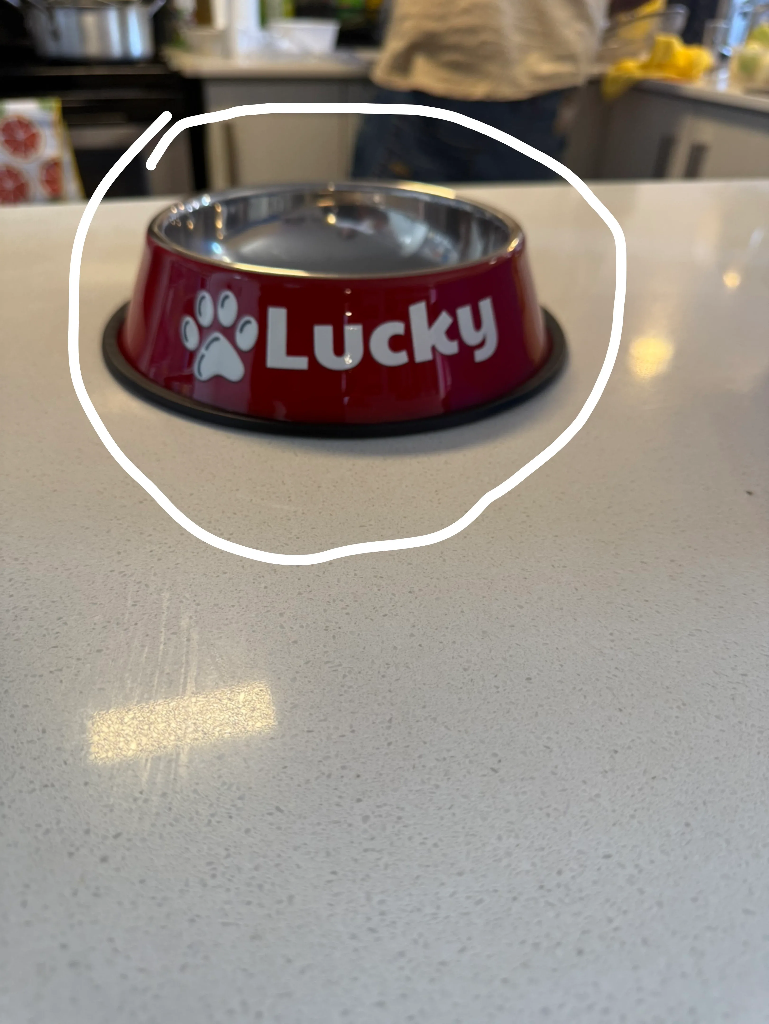 Lucky Dog Bowl - Red image indicator(3)