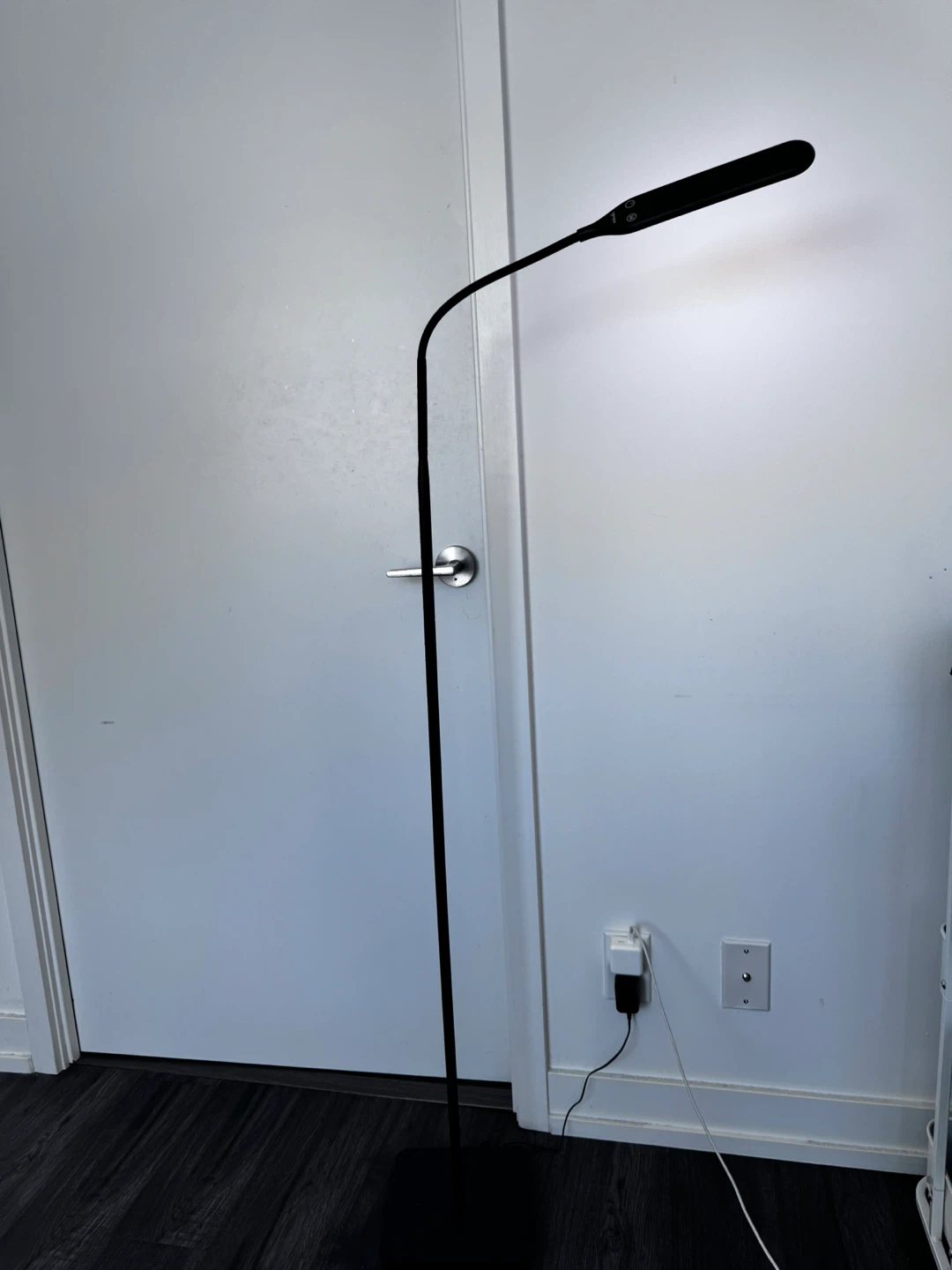LED Floor Lamp, Black