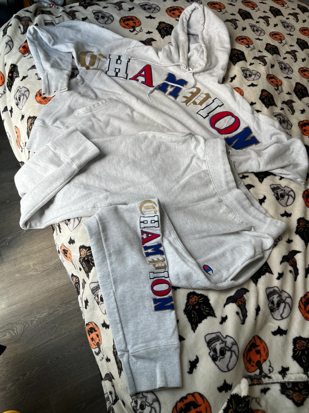 Champion  Hoodie & Sweatpants - photo 2