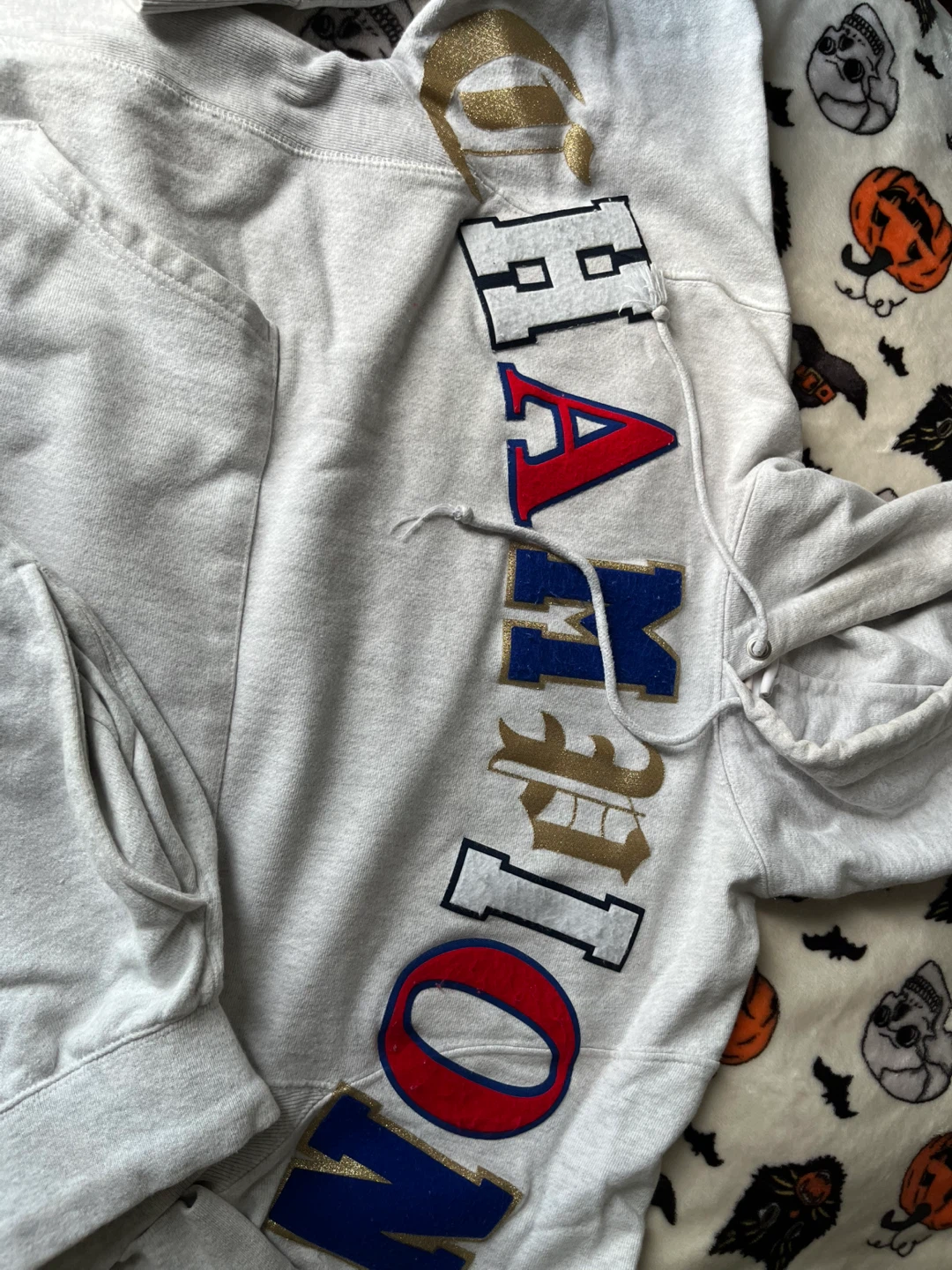 Champion  Hoodie & Sweatpants - photo 4