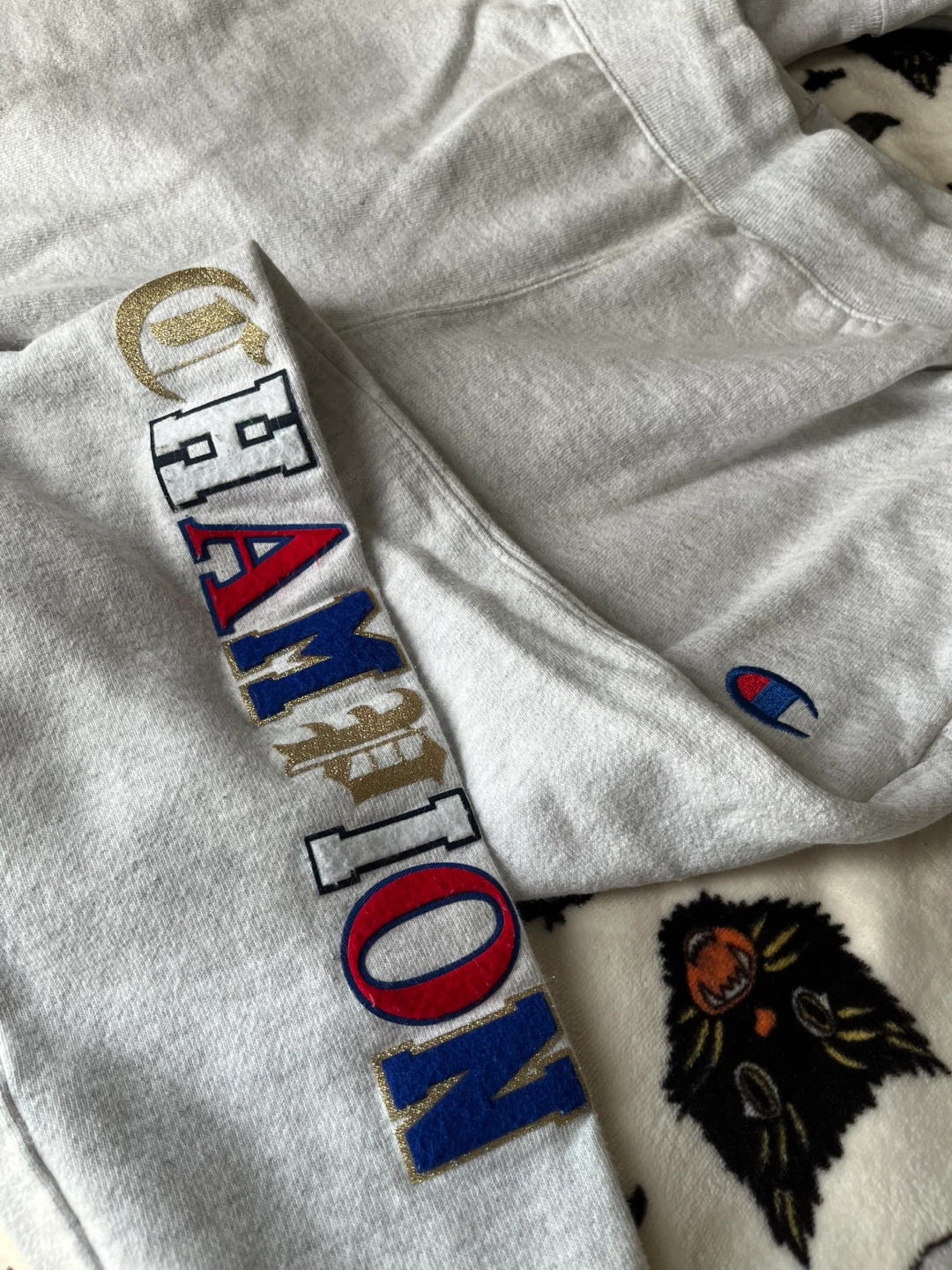 Champion  Hoodie & Sweatpants - photo 3