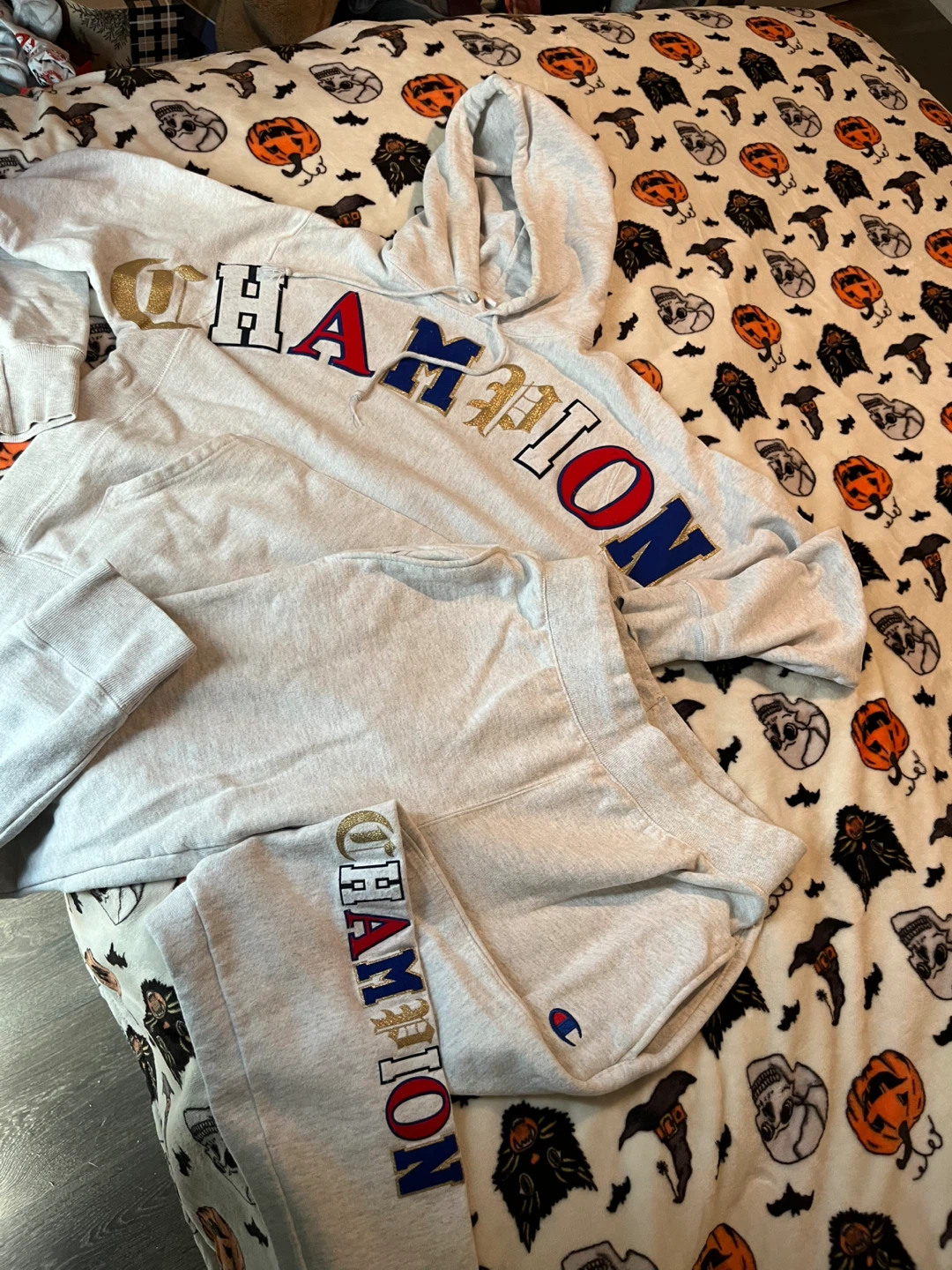 Champion  Hoodie & Sweatpants
