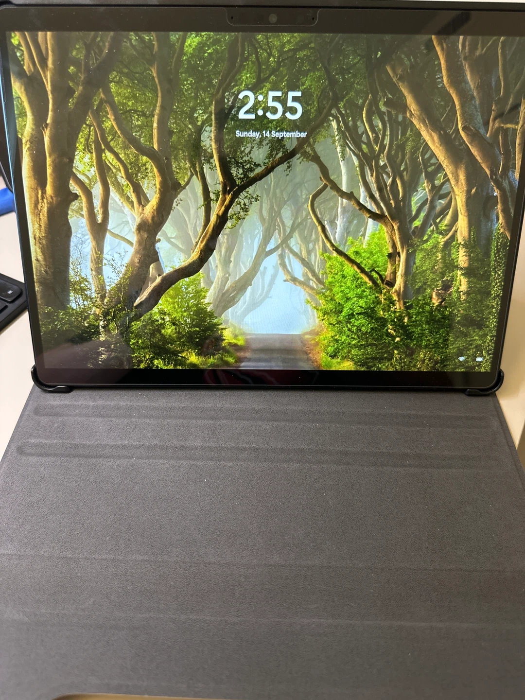 Microsoft Surface Pro X