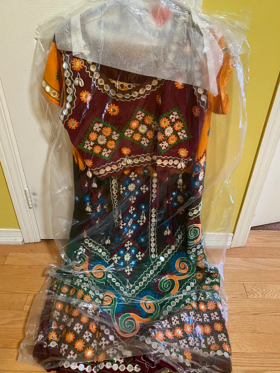 Indian Dress - Chaniyacholi 🥕 image indicator(2)