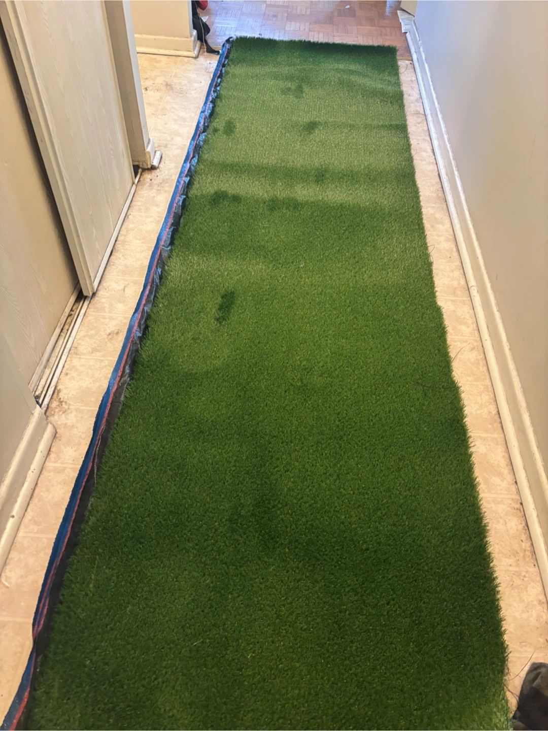 Green Artificial Turf Rug