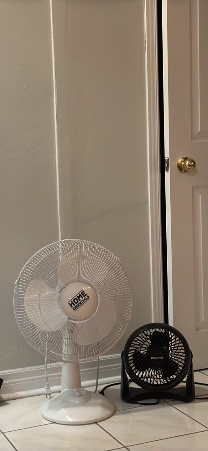 White Stand Fan
