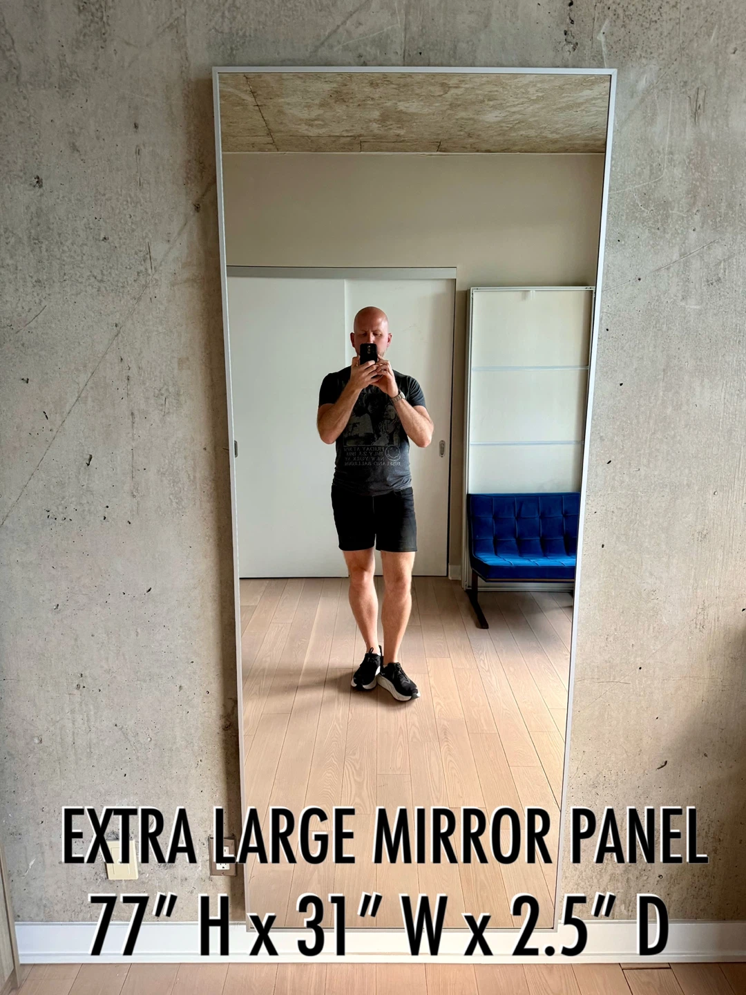 IKEA Hovet Mirror Panel (77"H  x 31" W)