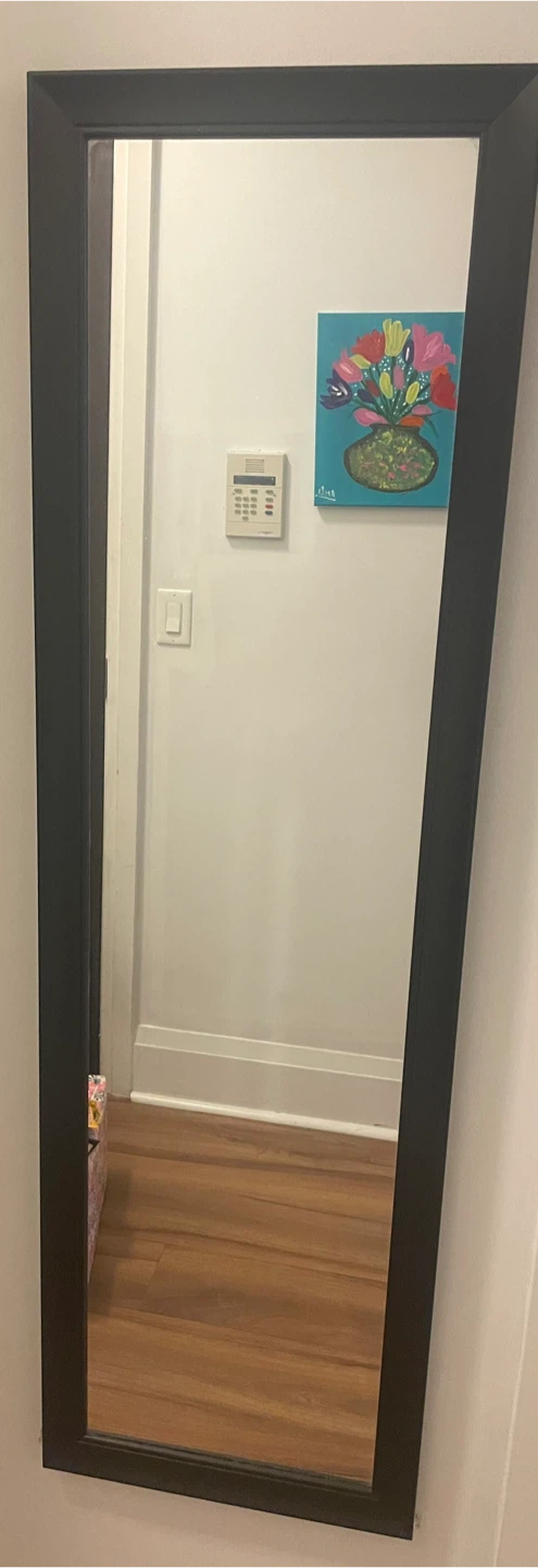Full Length Mirror with Dark Frame