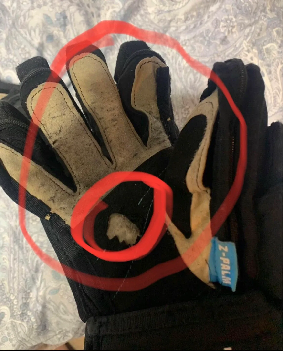 TRUE A6.0 SBP Z-Palm Ice Hockey Gloves - Size 12" image indicator(5)