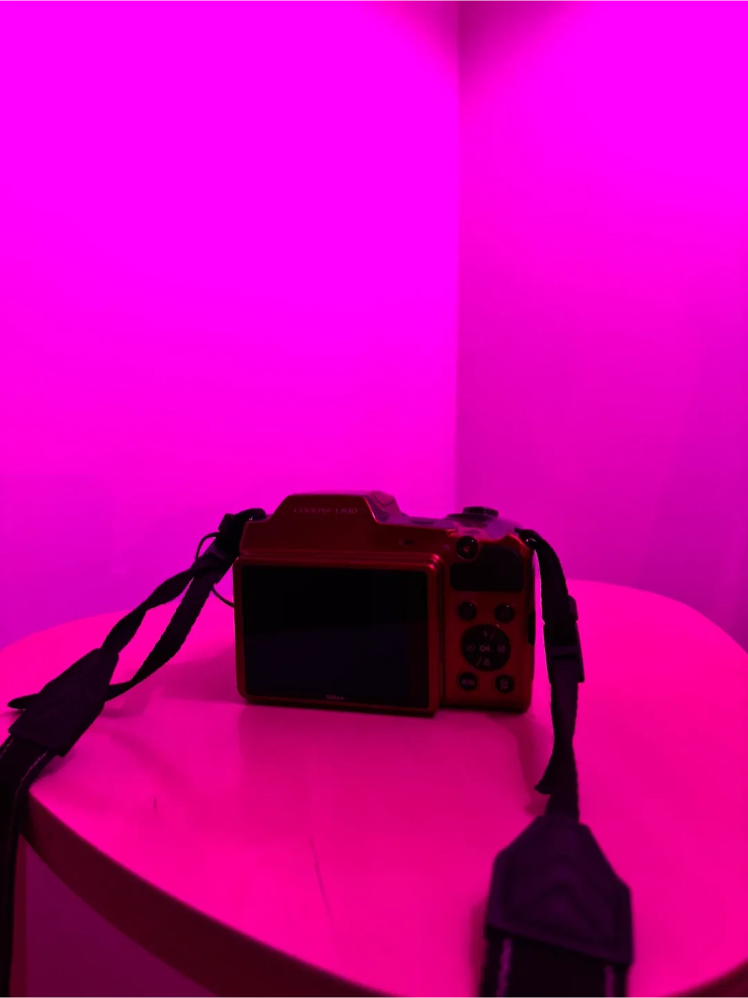 Nikon Coolpix L110 Digital Camera image indicator(3)