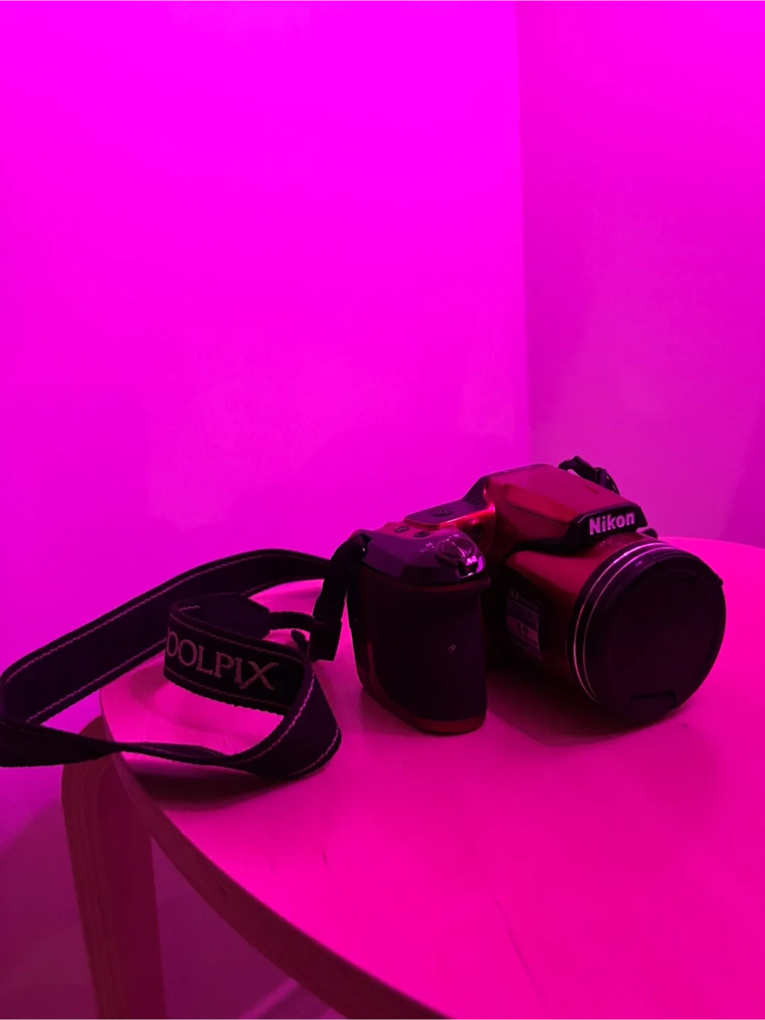 Nikon Coolpix L110 Digital Camera image indicator(2)