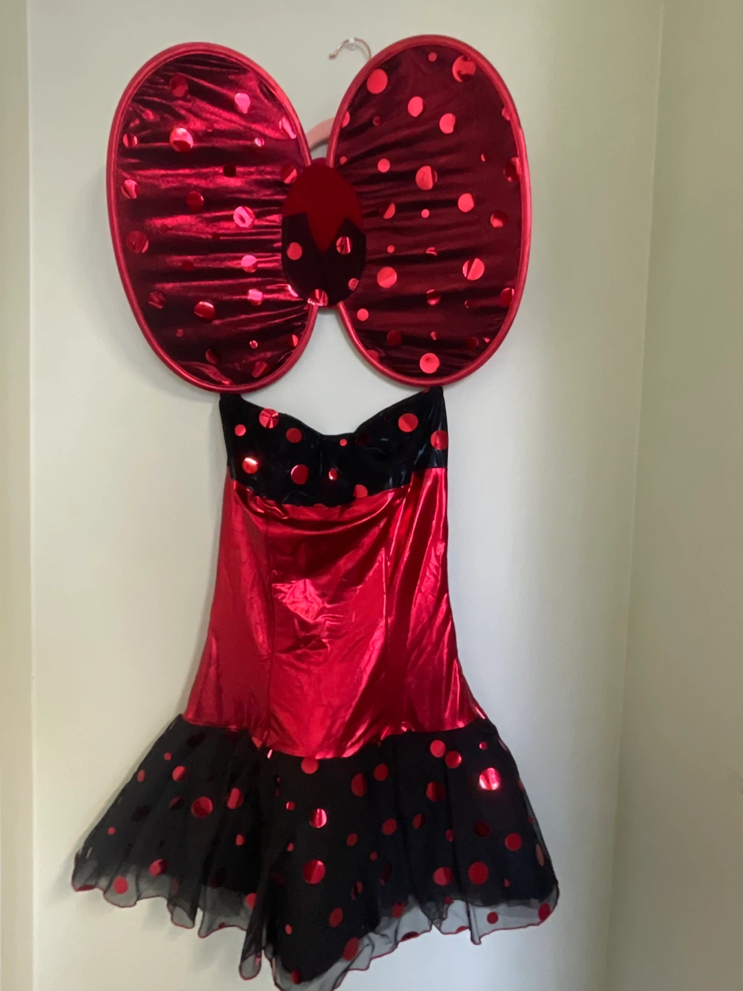 Red and Black Polka Dot Costume Dress Lady Bug Halloween costume