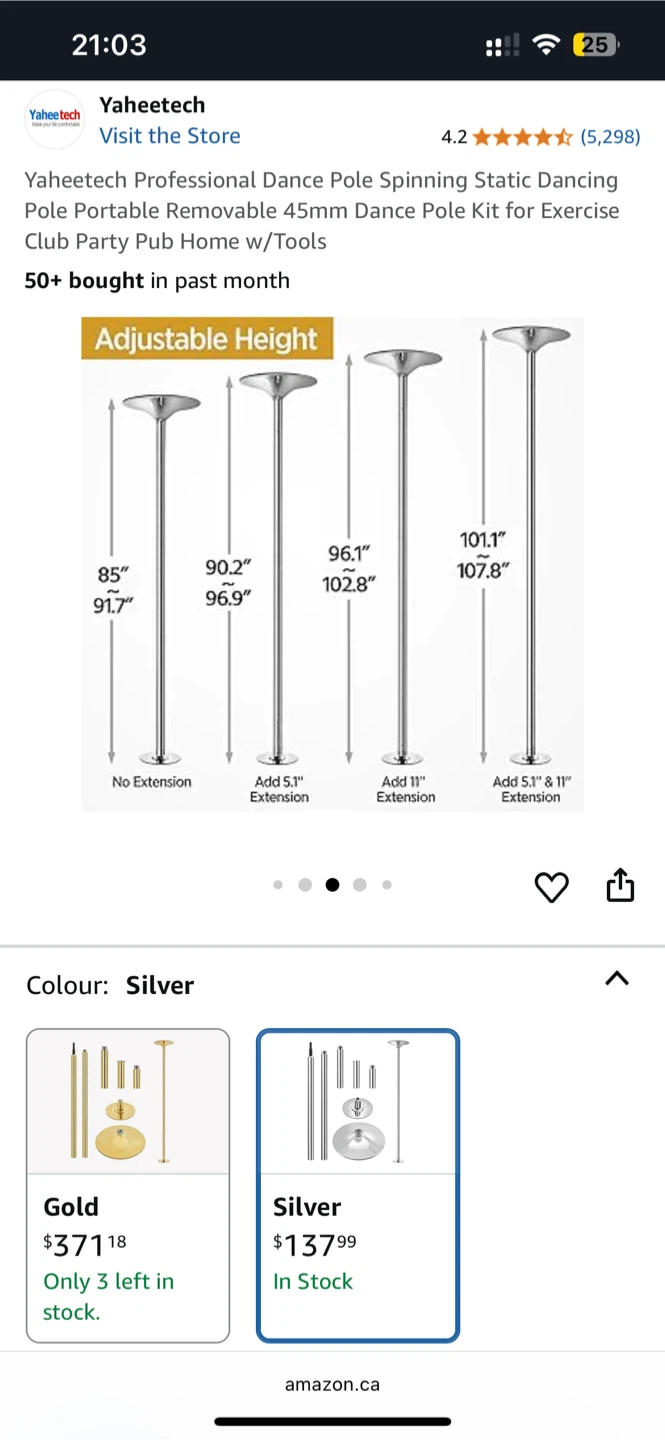 Yaheetech Dance Pole - Silver - photo 3