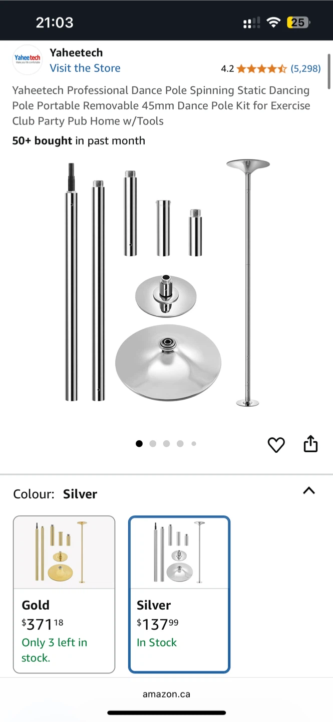 Yaheetech Dance Pole - Silver