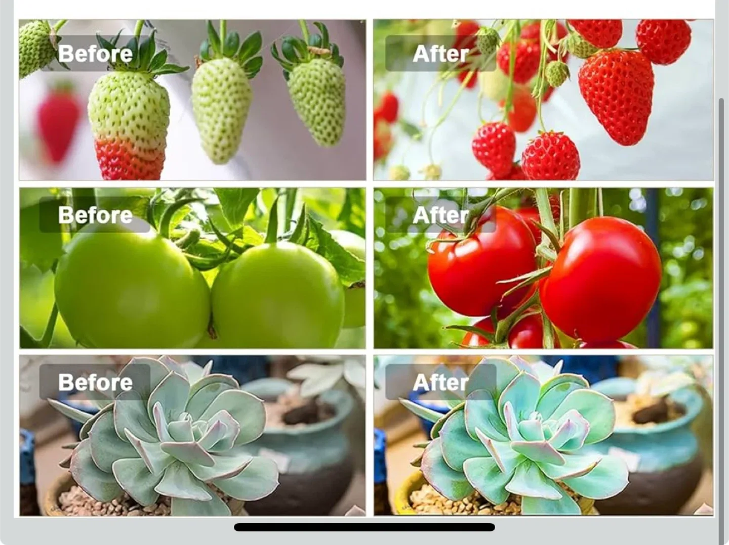 LED Grow Light with Clip image indicator(6)