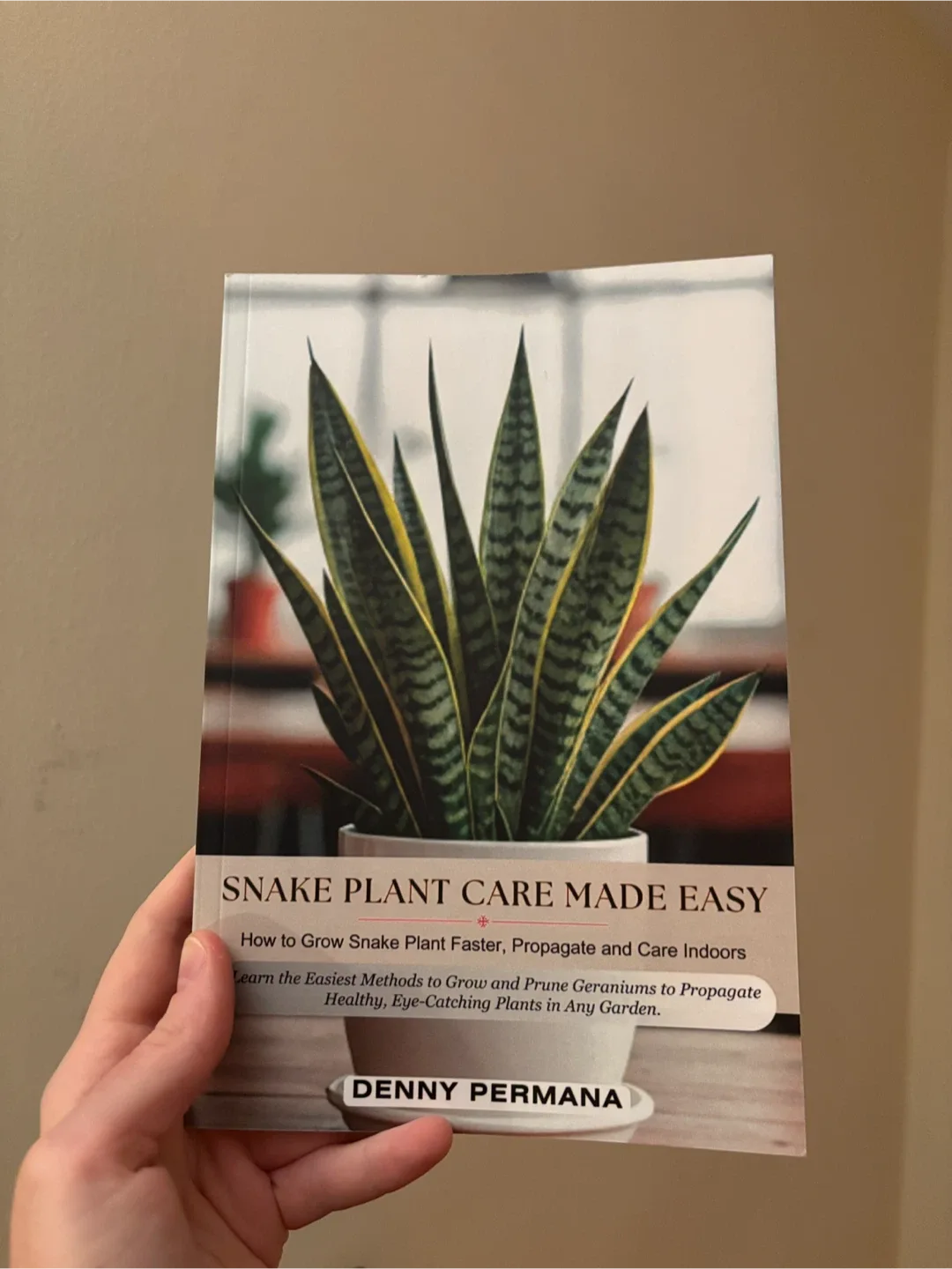 Snake Plant Care Book thumbnail
