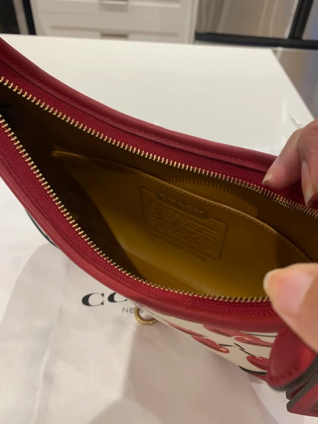 🍒 NWT Coach Cherry Hampton Hobo & Matching Cardholder 🍒 image indicator(6)