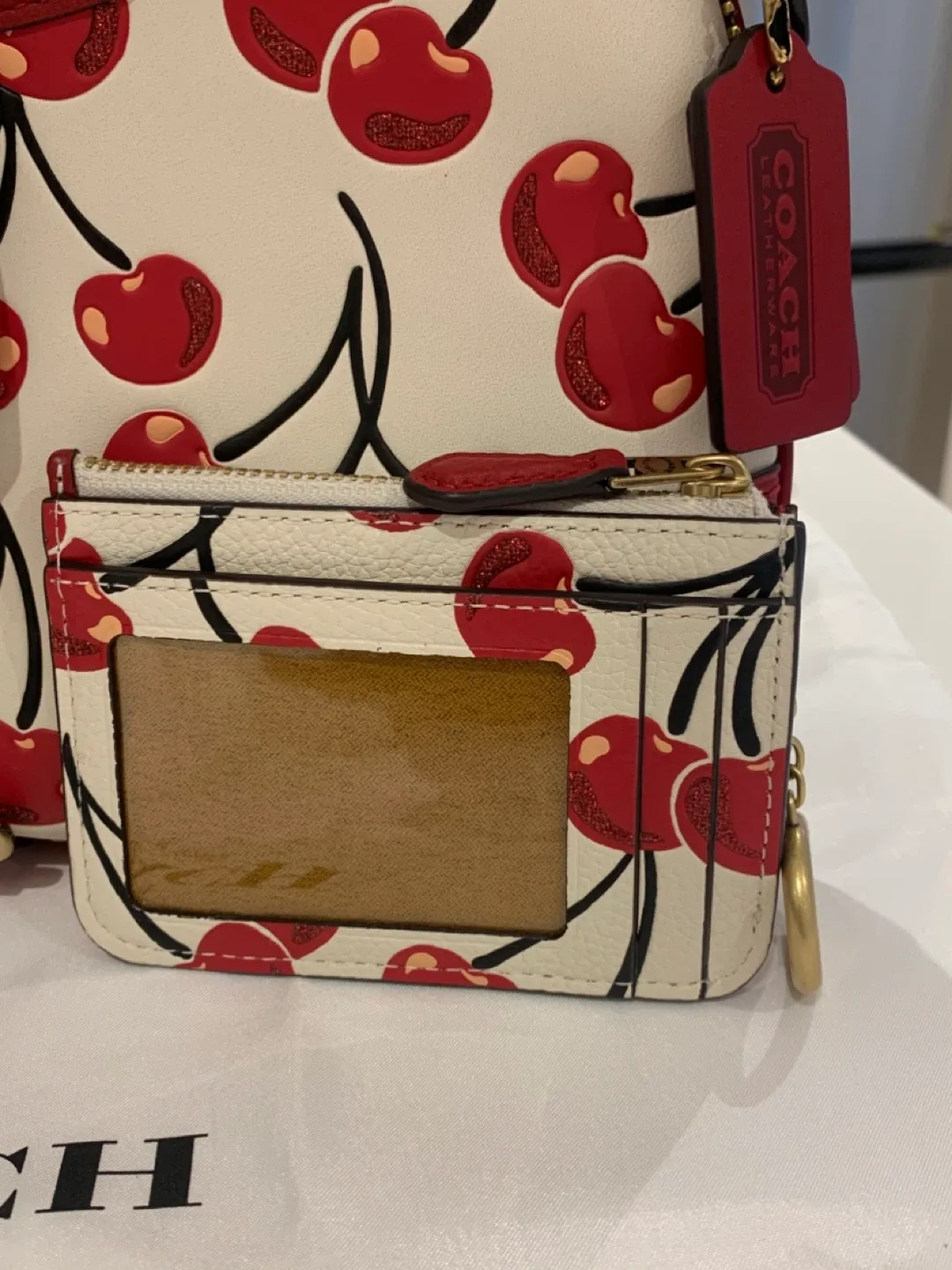 🍒 NWT Coach Cherry Hampton Hobo & Matching Cardholder 🍒 image indicator(9)