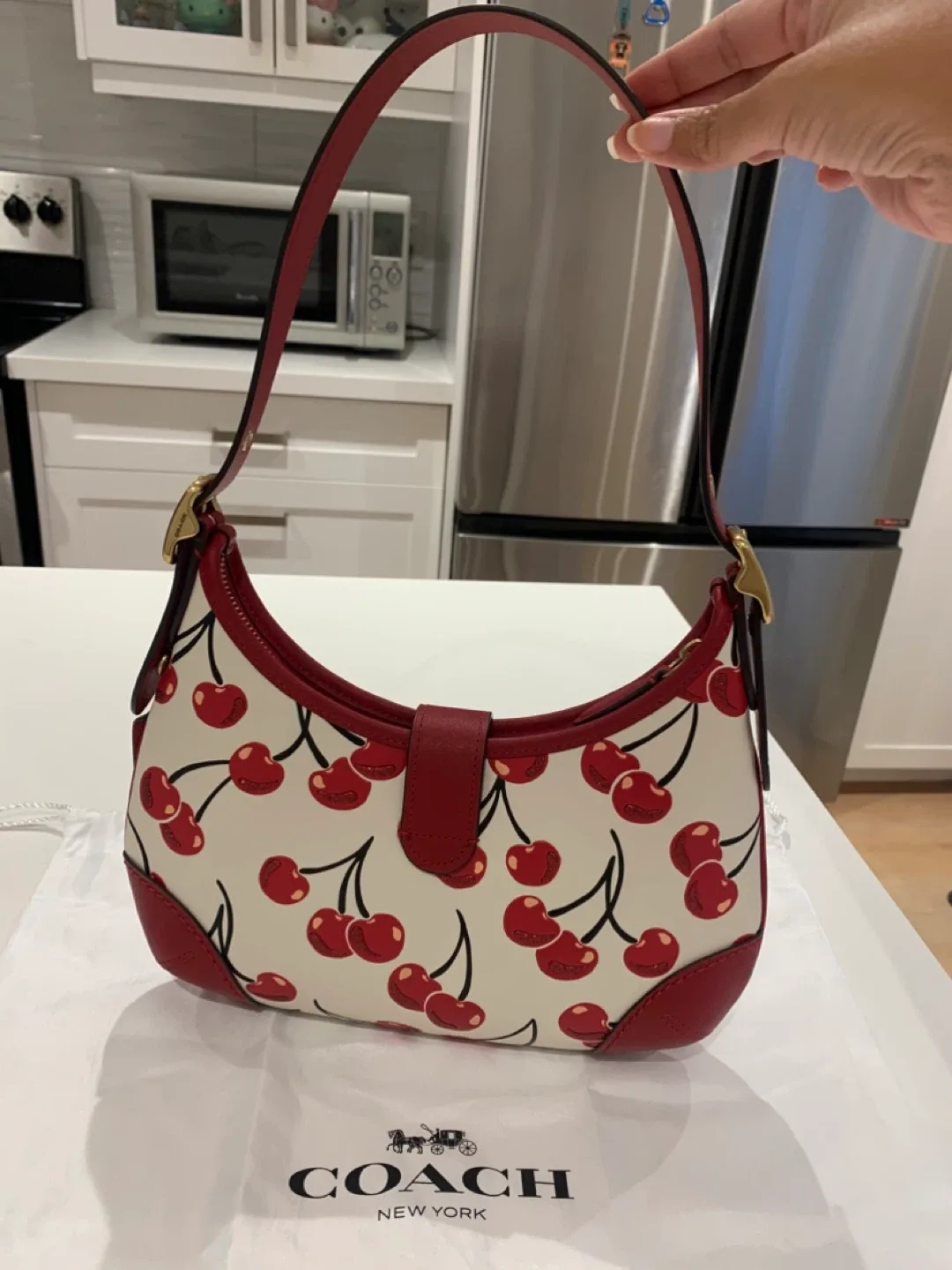 🍒 NWT Coach Cherry Hampton Hobo & Matching Cardholder 🍒 image indicator(10)
