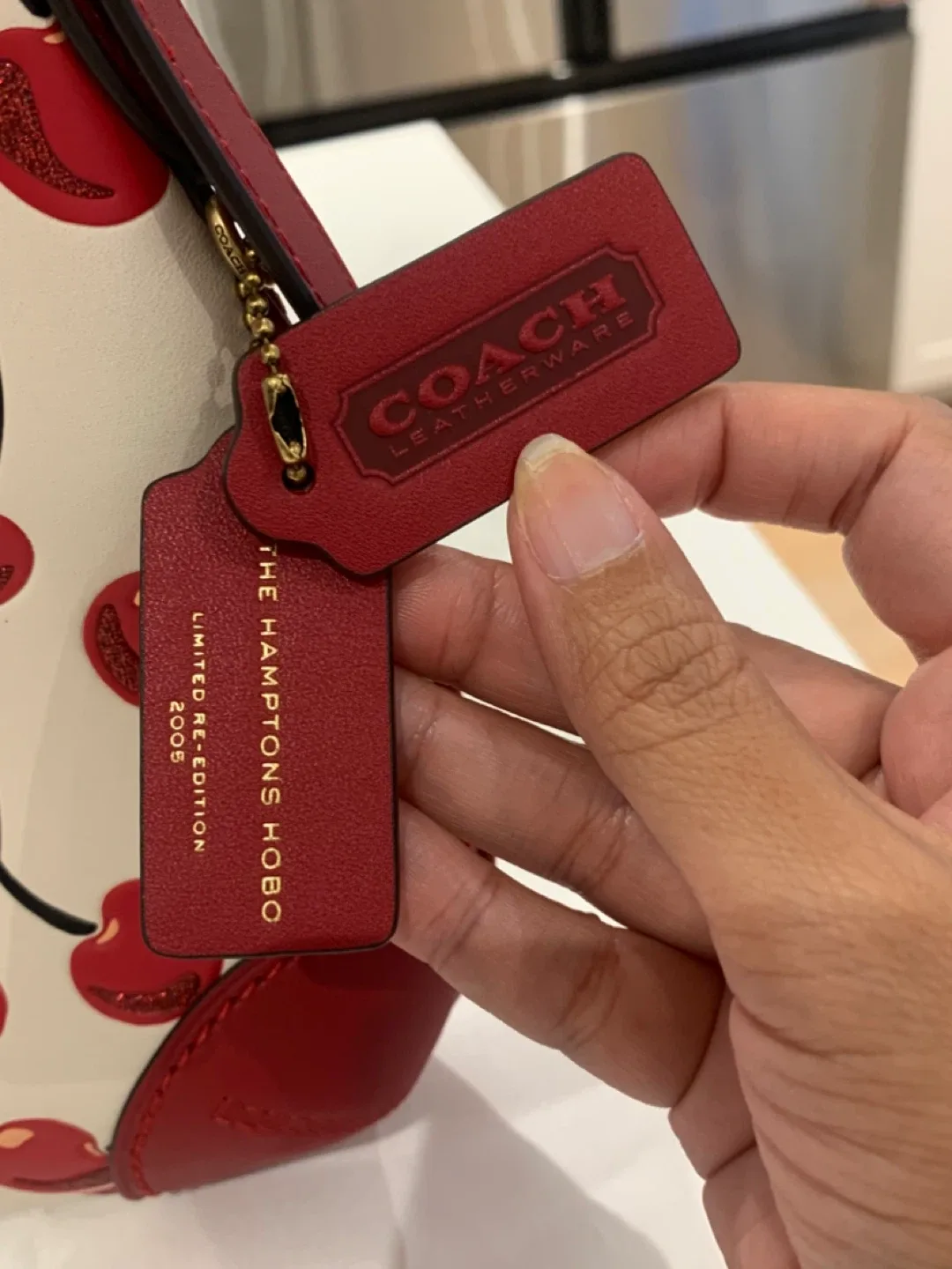 🍒 NWT Coach Cherry Hampton Hobo & Matching Cardholder 🍒 image indicator(7)
