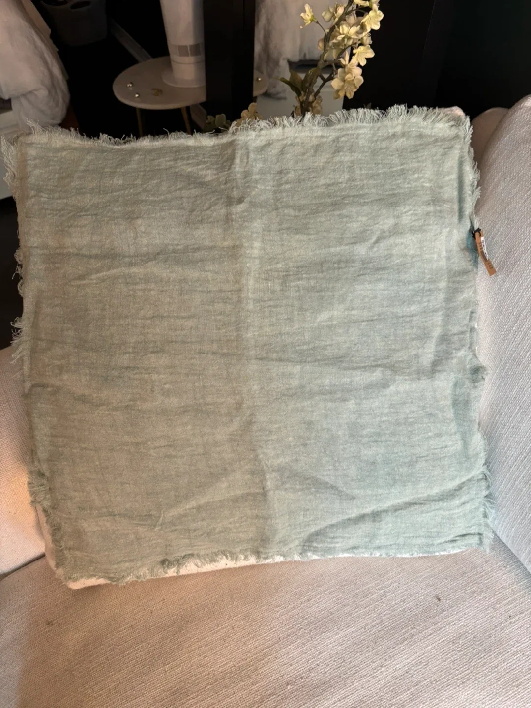 Assorted Throw Pillows image indicator(5)