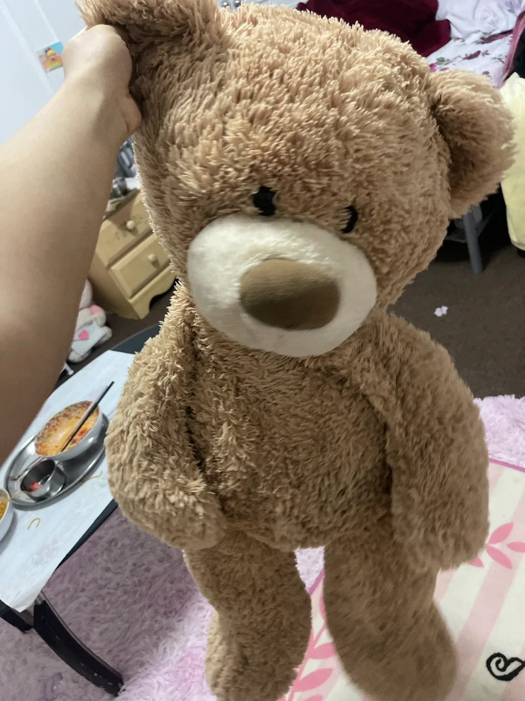 Teddy Bear Plush Toy🥕🥕 thumbnail