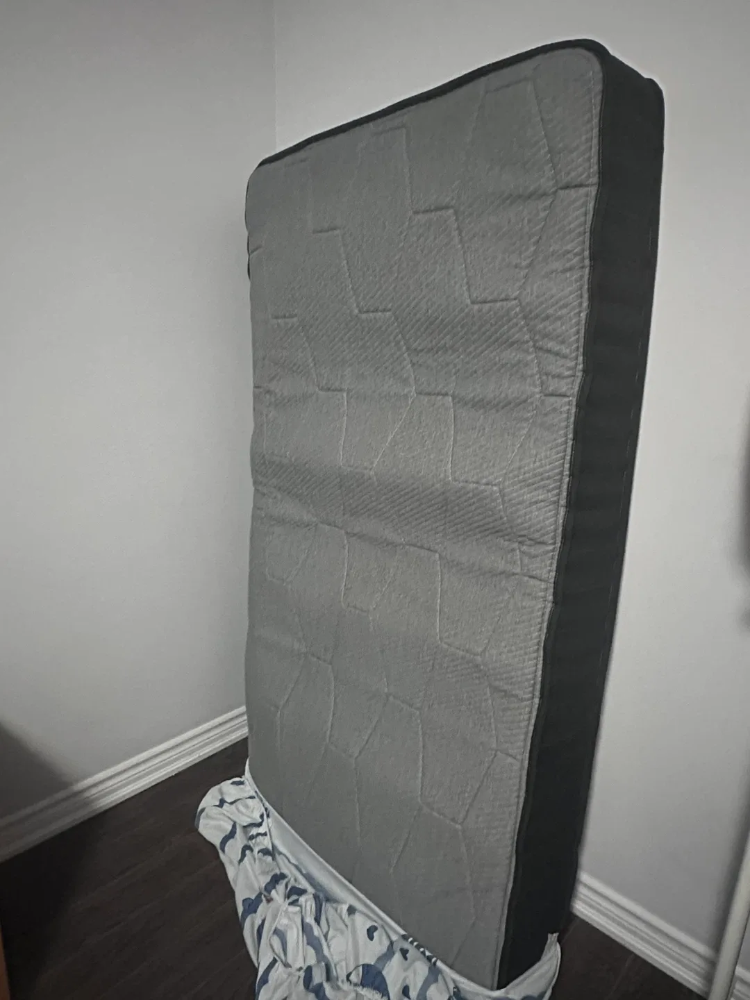 Mattress and Body Pillow thumbnail