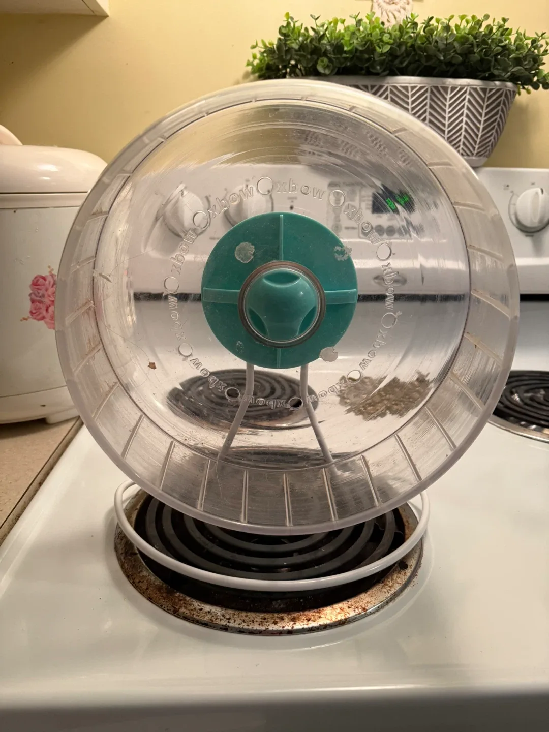 Hamster/Gerbil Starter Kit with Food & Accessories image indicator(2)