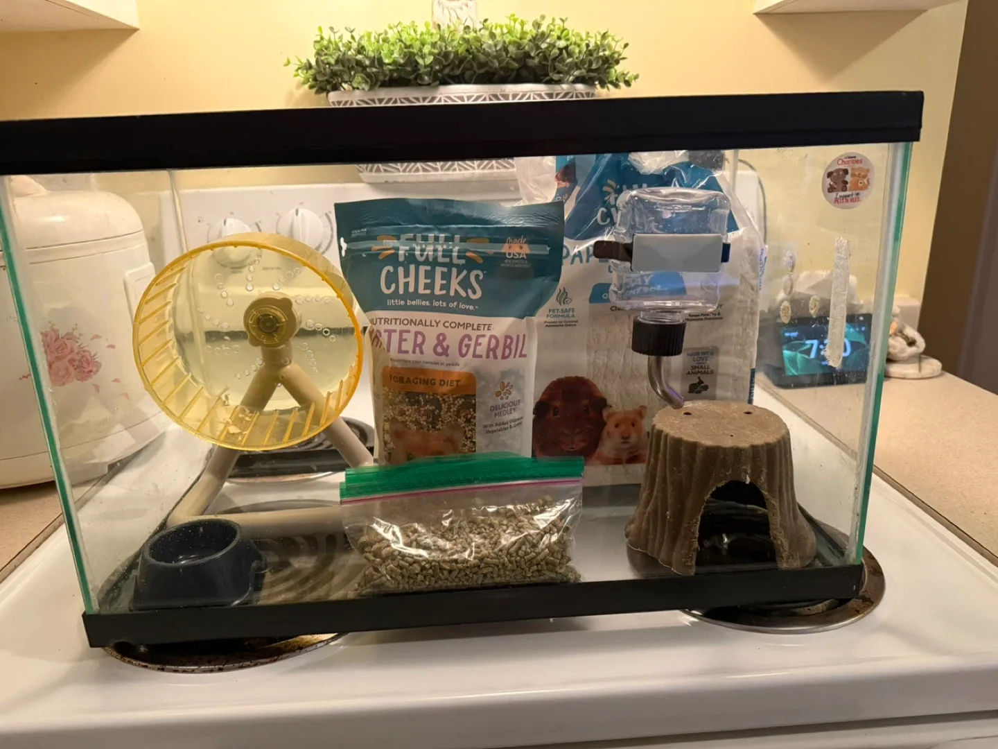 Hamster/Gerbil Starter Kit with Food & Accessories thumbnail