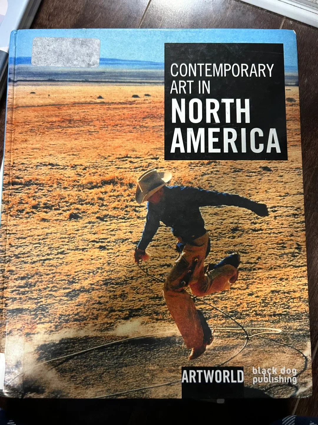 Contemporary Art in North America thumbnail