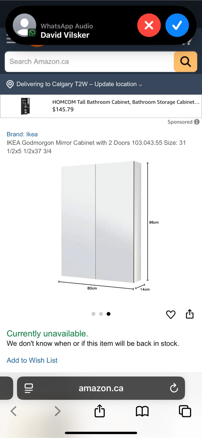 IKEA Godmorgon Mirror Cabinet with 2 Doors