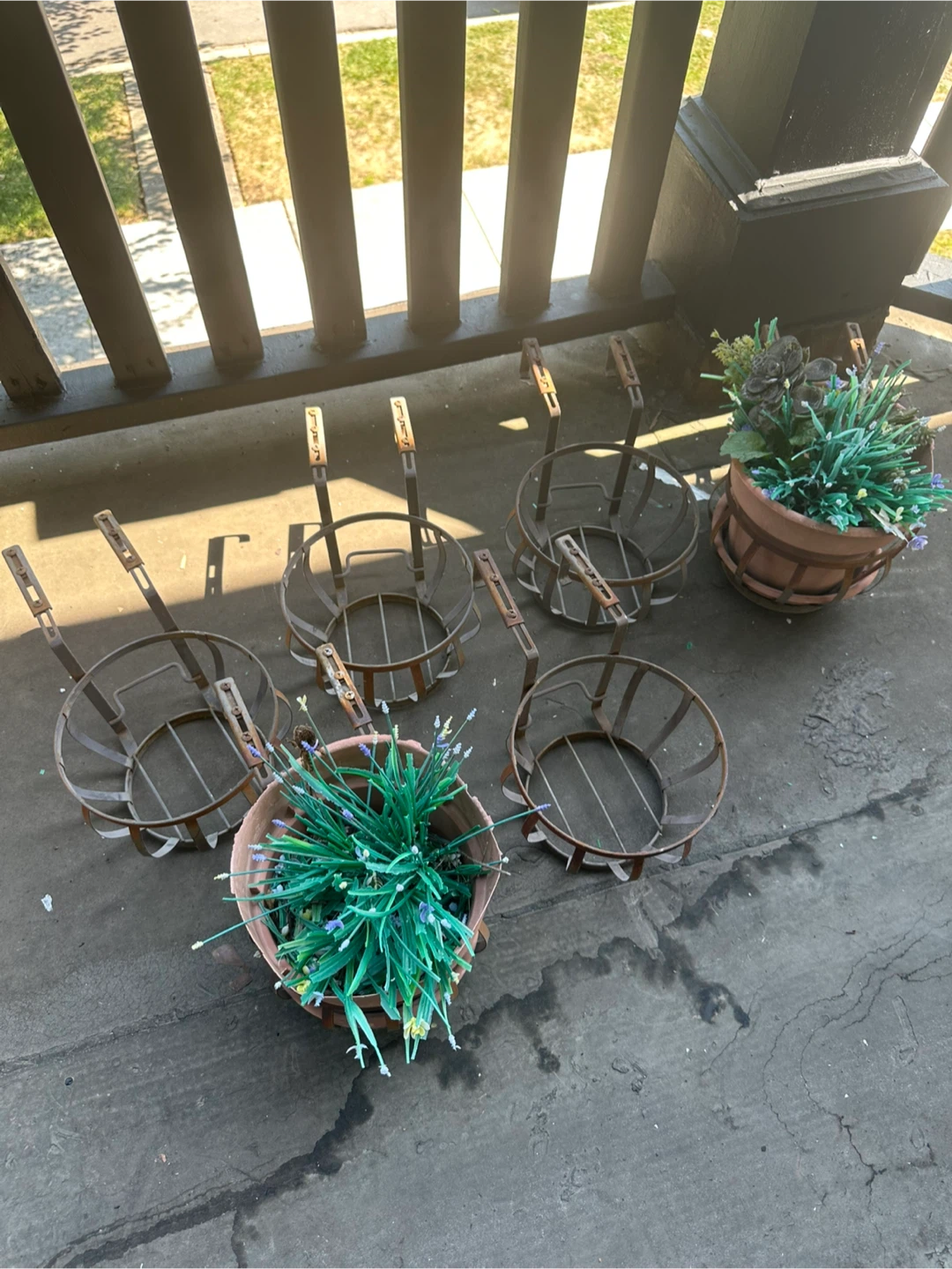 Metal Plant Hangers & Potted Plants