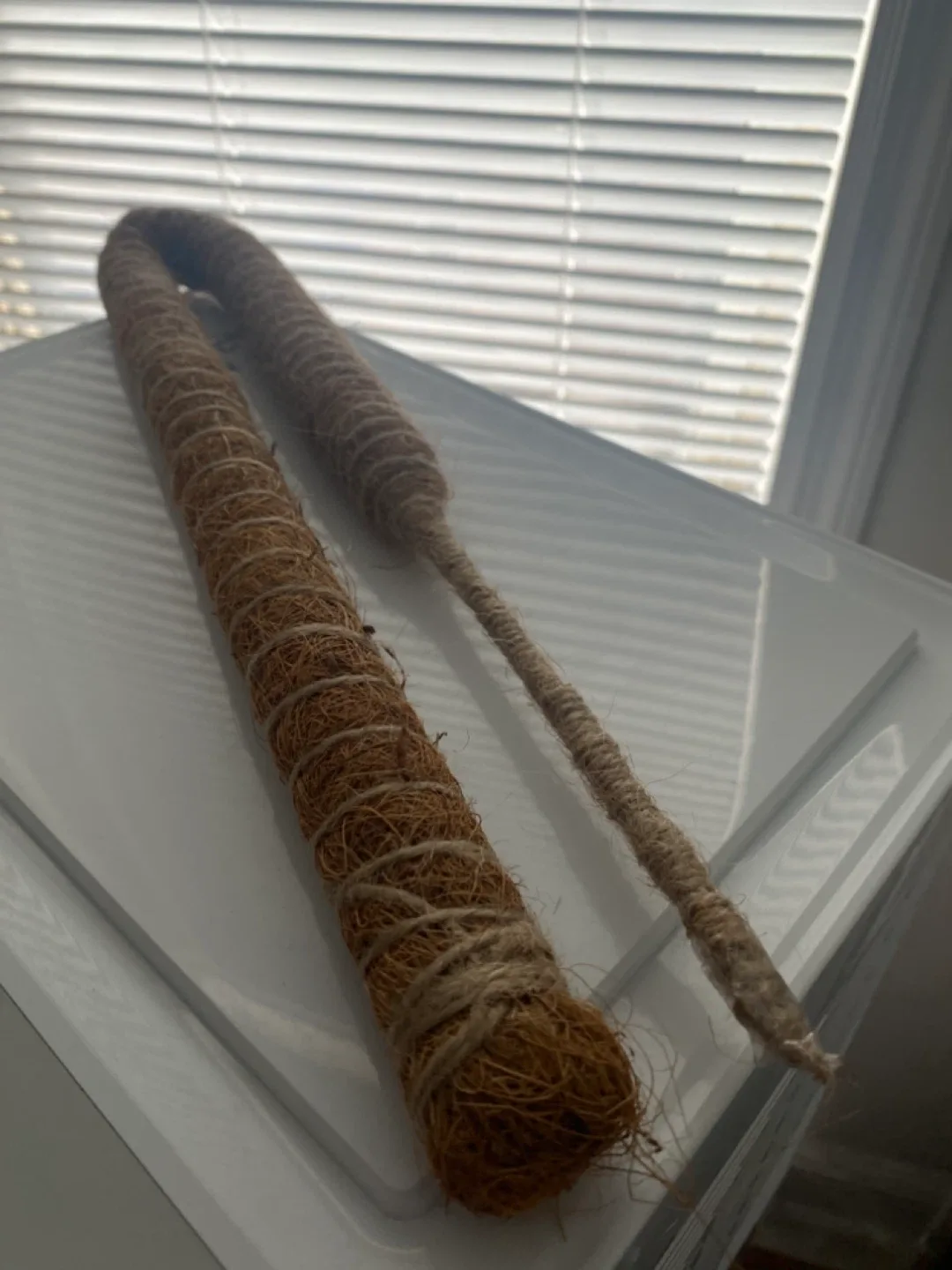 🥕Coco Coir Moss Poles for Plants🥕 thumbnail
