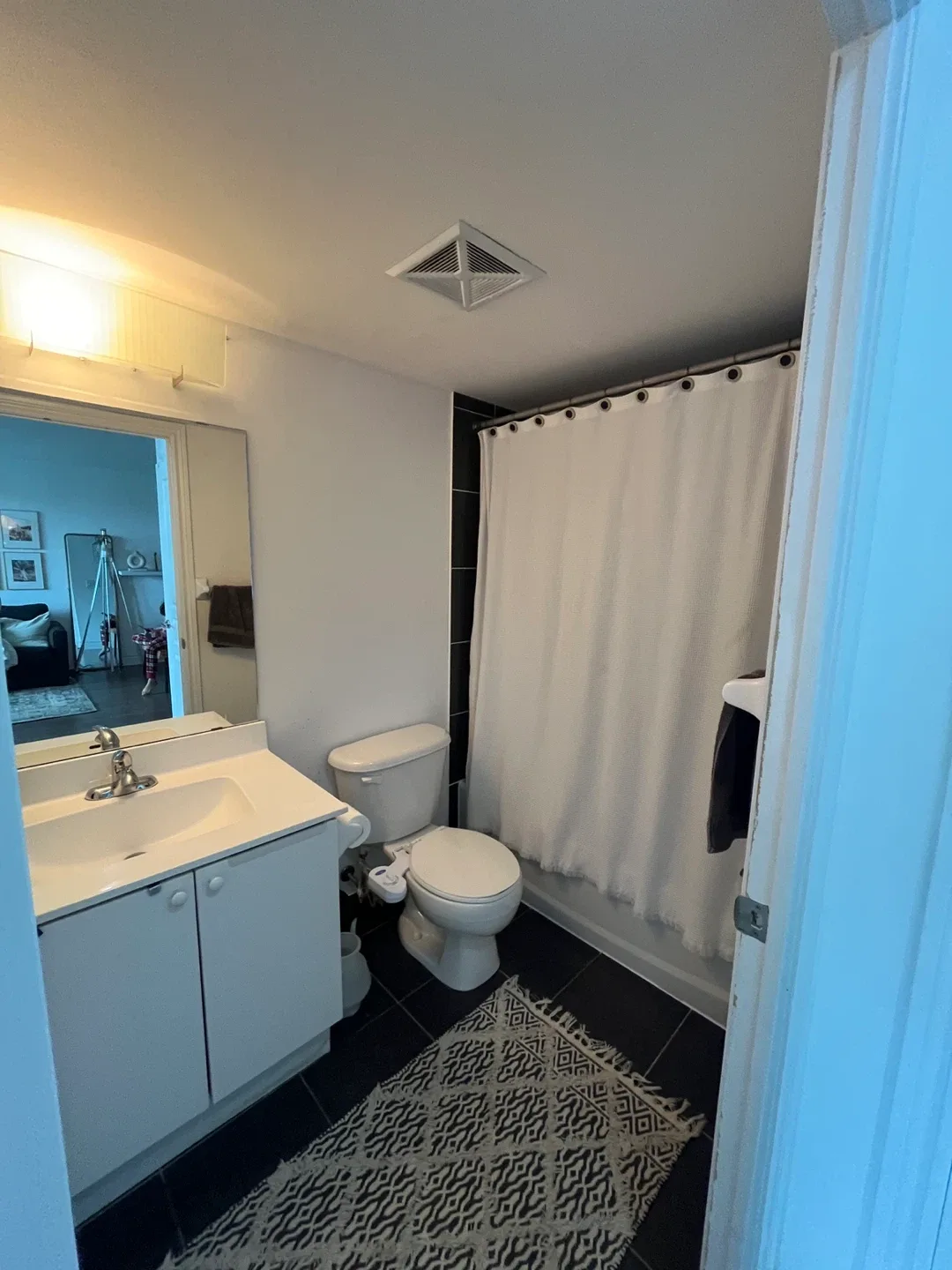 2 Bedroom 2 bath condo for sale image indicator(9)