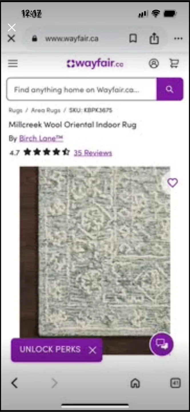 New Birch Lane Millcreek Wool Oriental Rug 9’ x13’ thumbnail