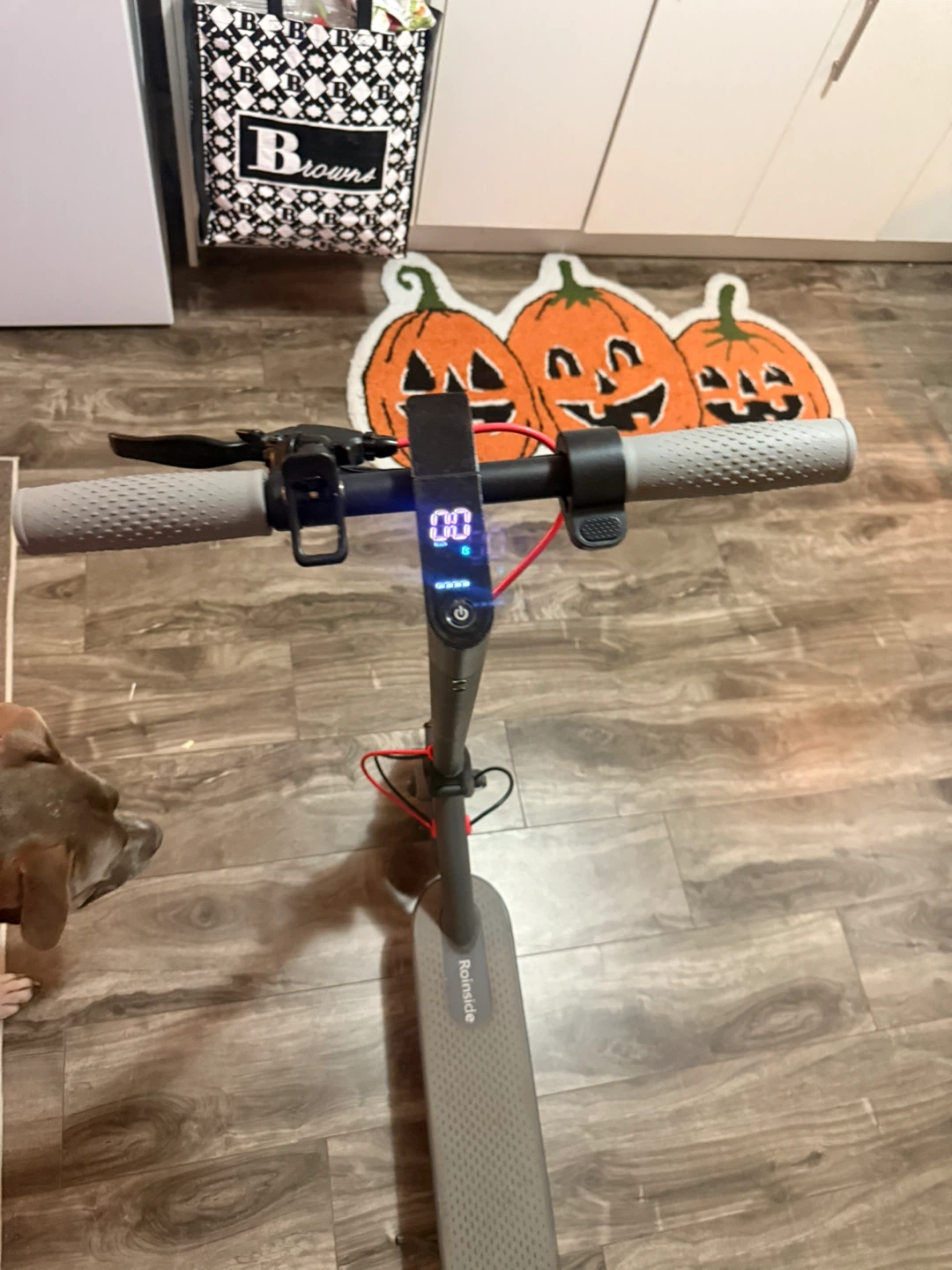 electric scooter - photo 2