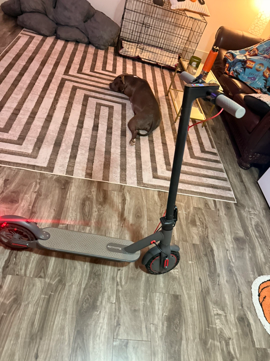 electric scooter - photo 3