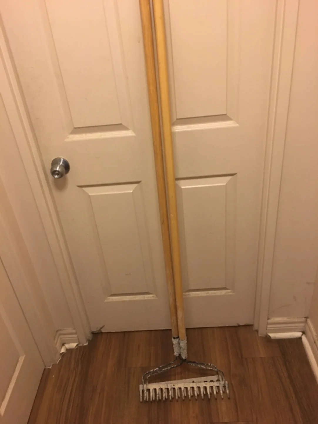 Garden rake thumbnail