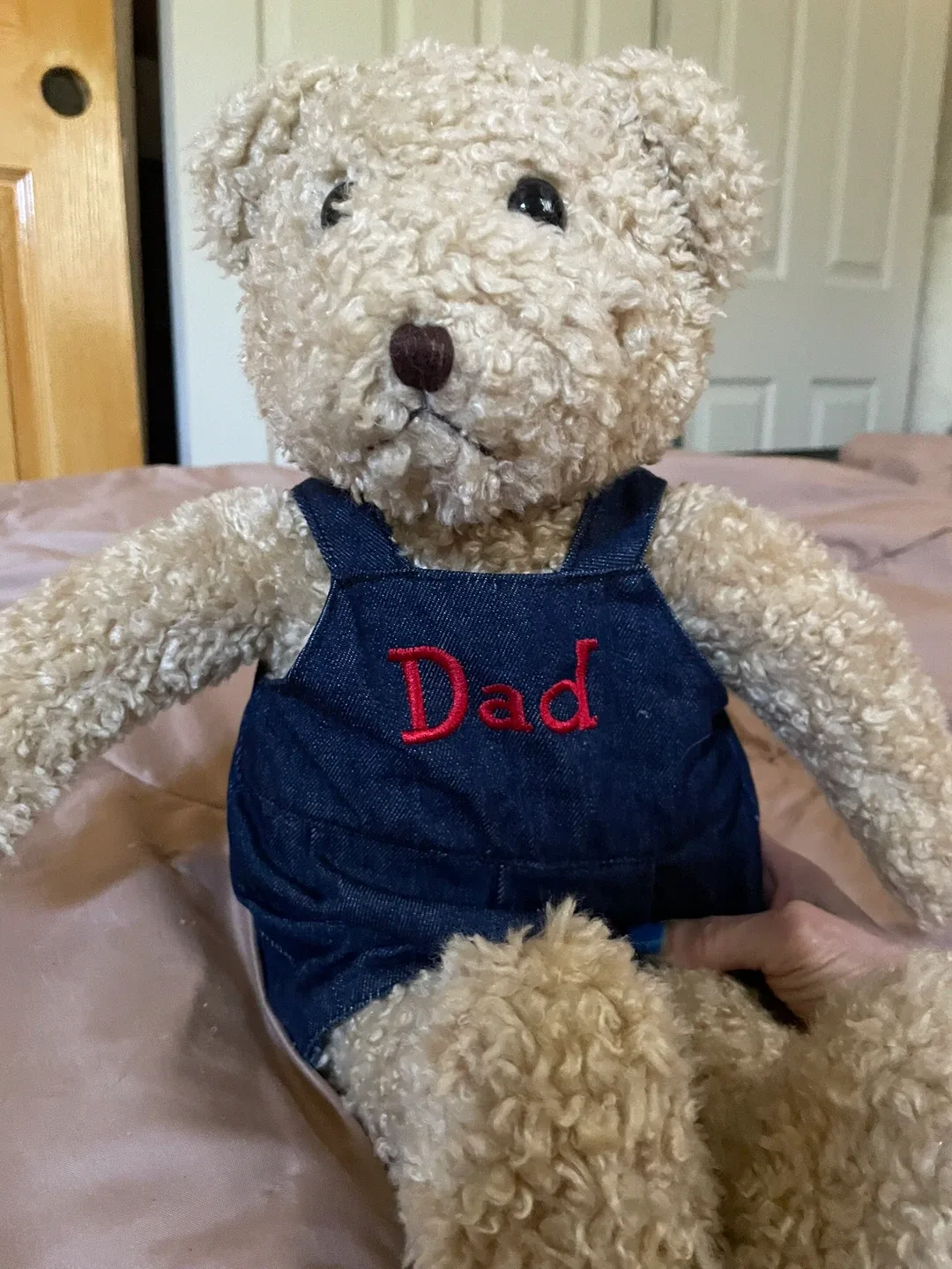 Teddy Bear with Denim Overalls thumbnail