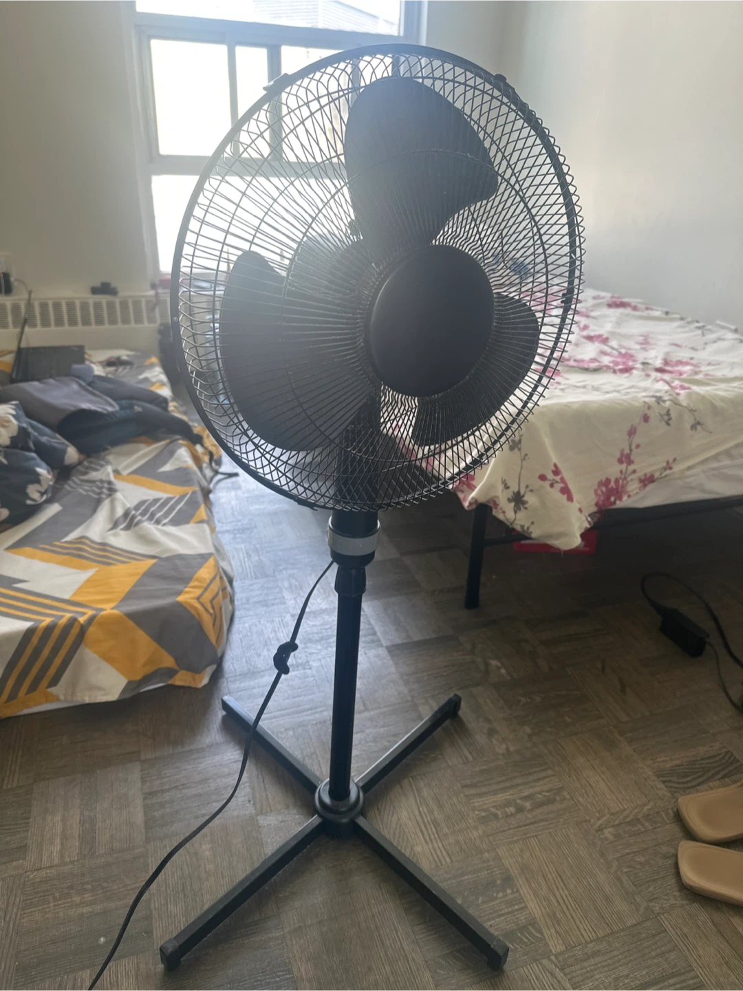 Black Standing Fan