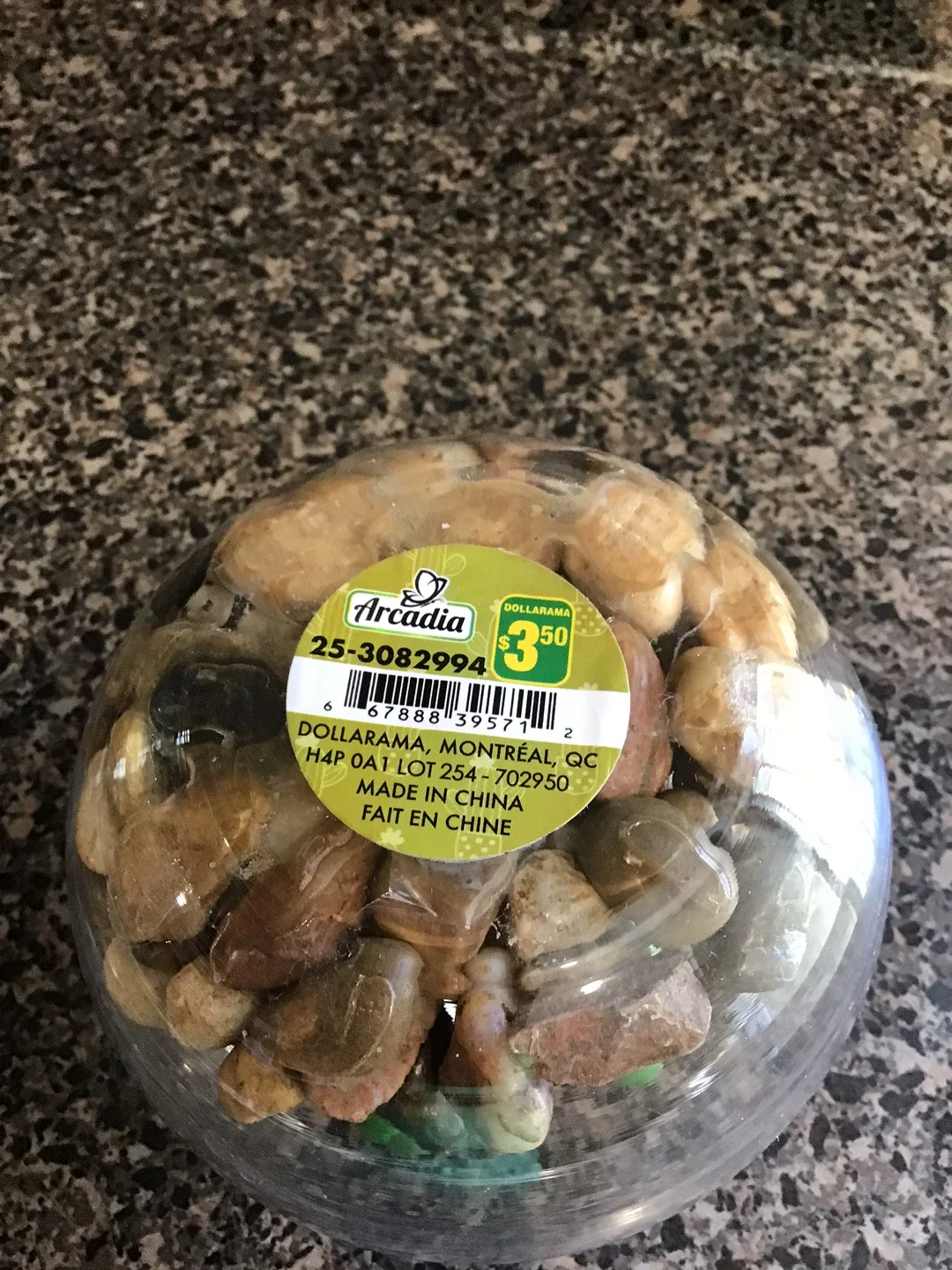 Arcadia Rocks - Dollarama image indicator(2)