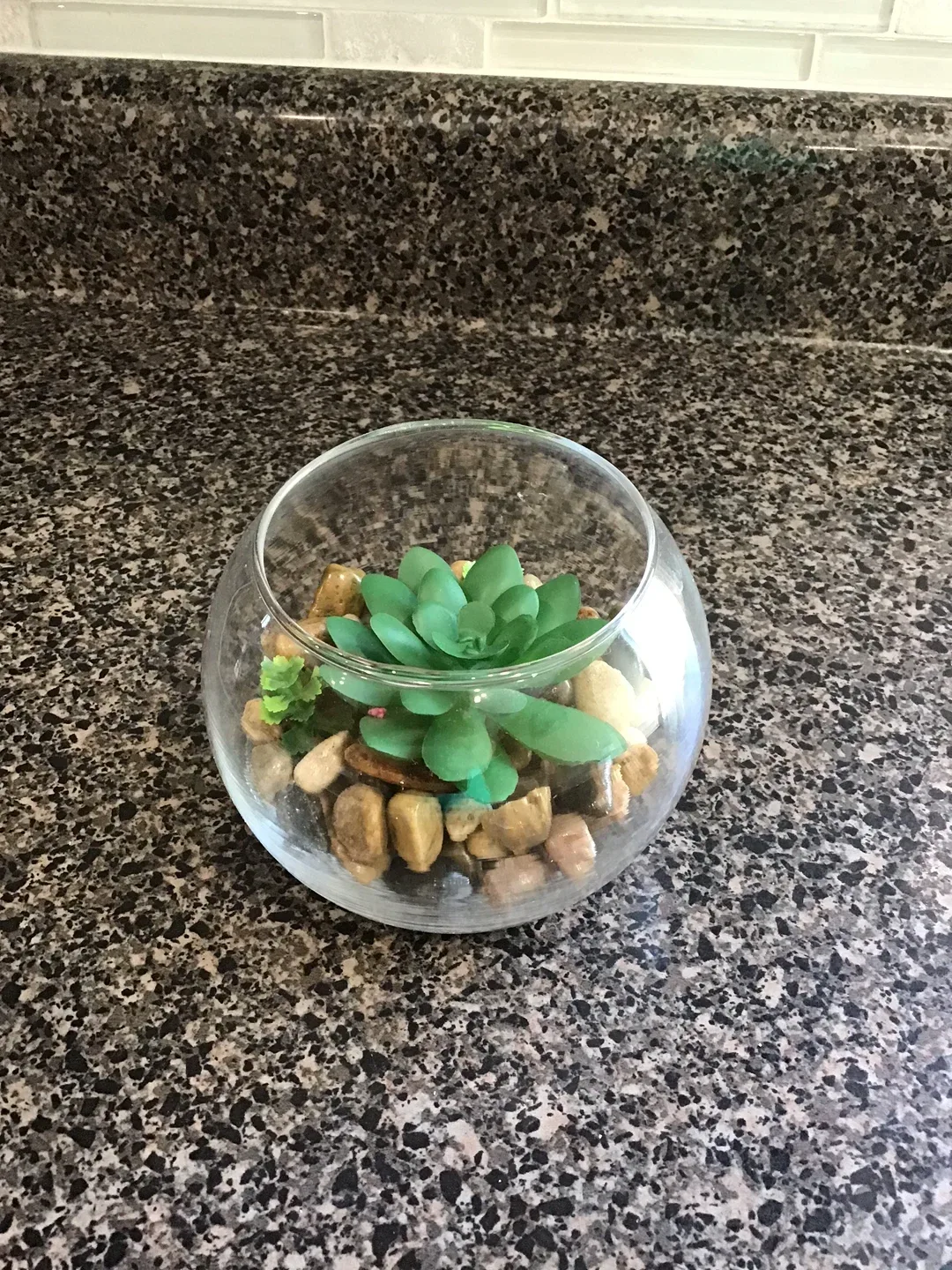 Arcadia Rocks - Dollarama thumbnail