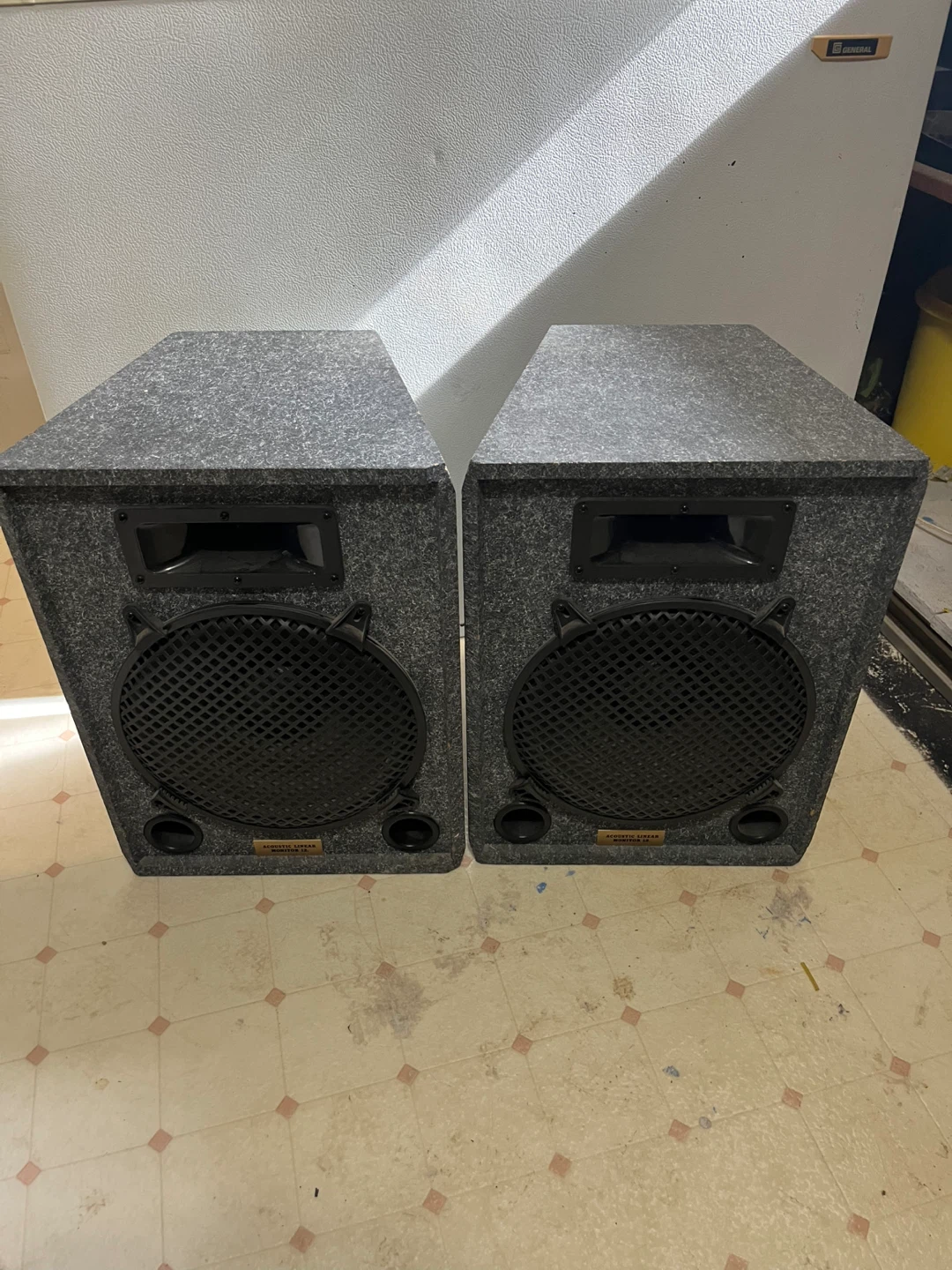 Acoustic Linear Monitor 12 Speakers - Pair