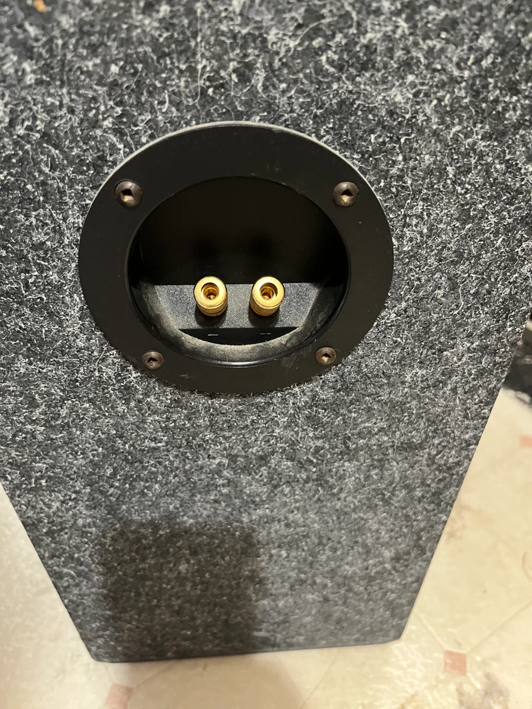 Acoustic Linear Monitor 12 Speakers - Pair - photo 3