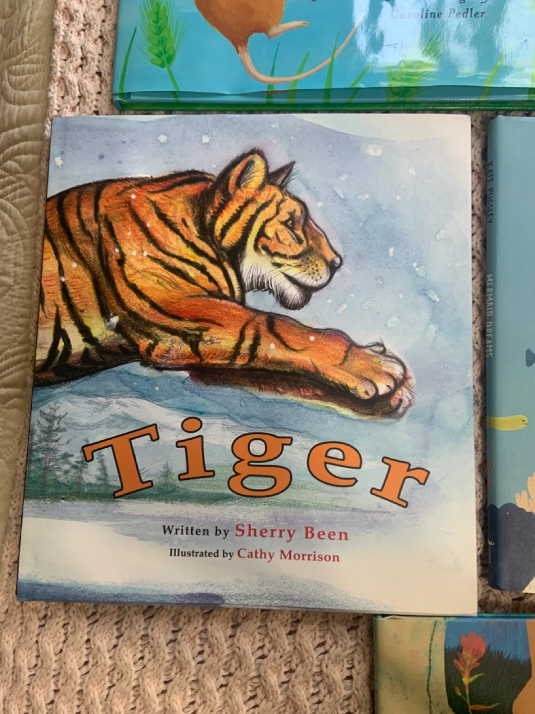 BRAND NEW LARGE HC CHILDREN’S BOOKS ! AGES 4- 8 - photo 4