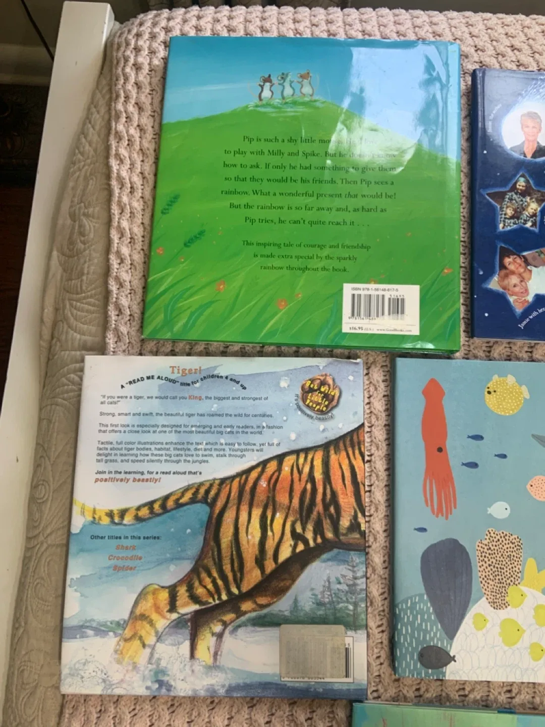 BRAND NEW LARGE HC CHILDREN’S BOOKS ! AGES 4- 8 image indicator(8)