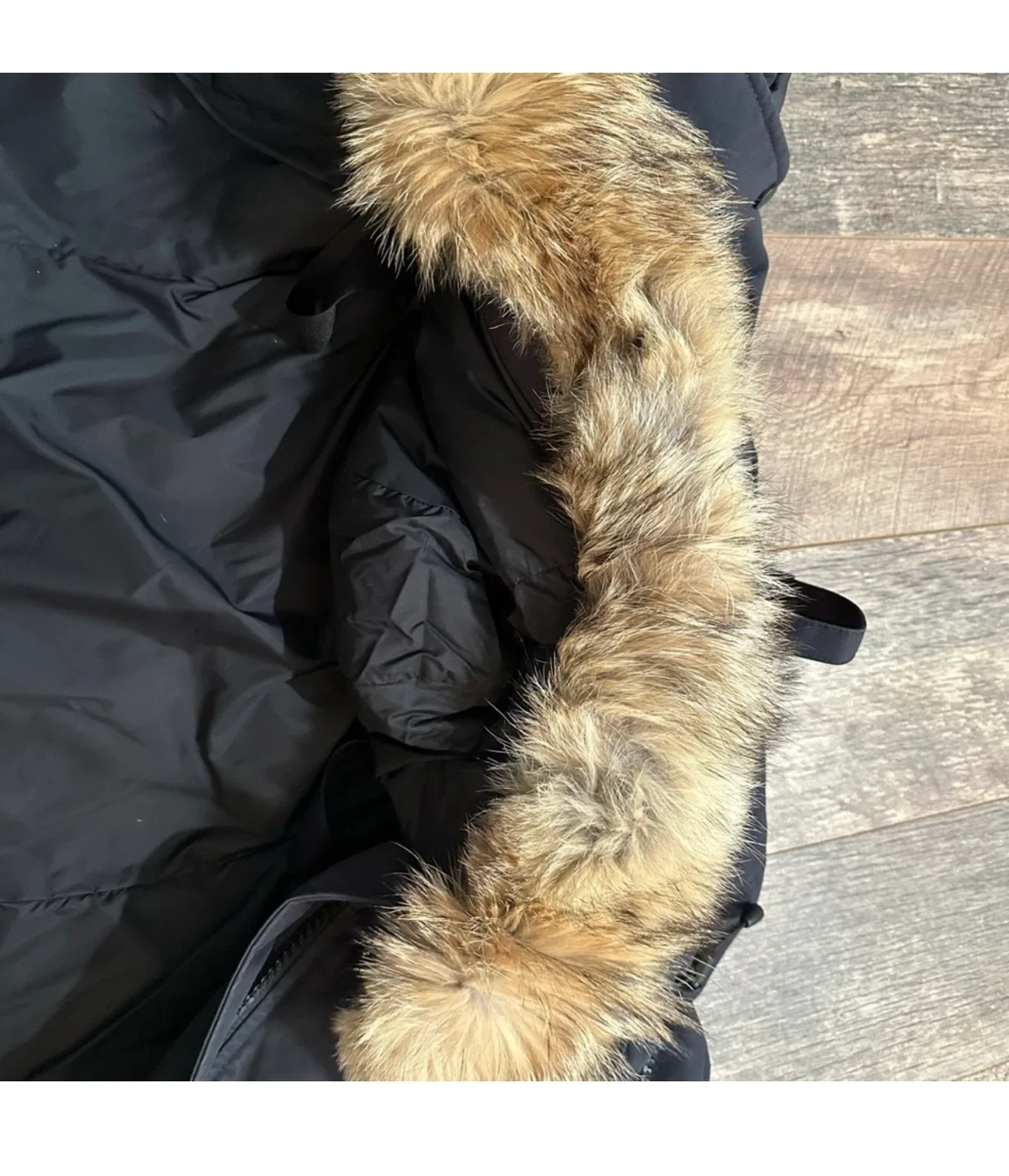 Canada Goose Parka - Women's Outerwear image indicator(5)